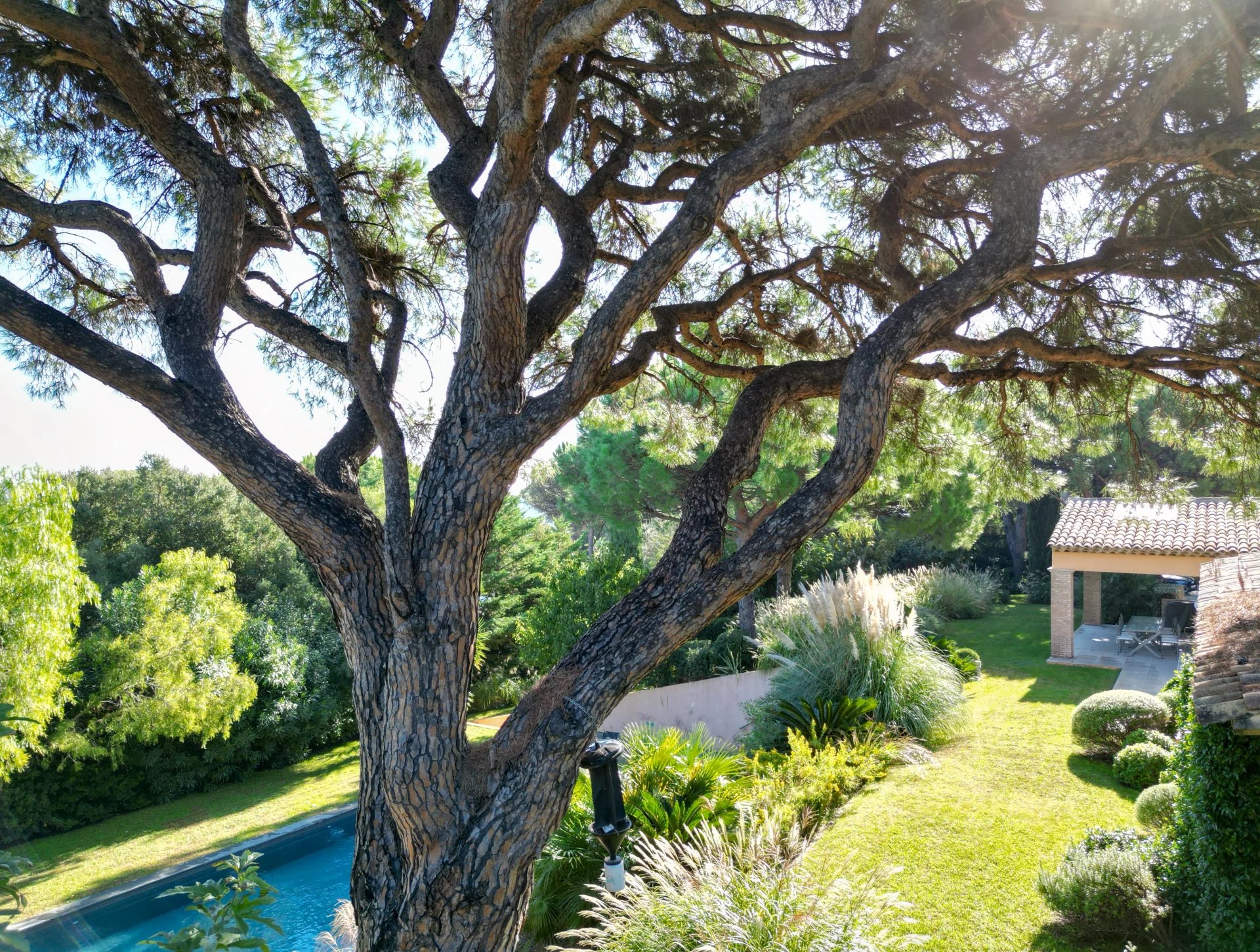 Ramatuelle, Provence-Alpes-Côte d’Azur, 83350, FR, 3 Bedrooms Bedrooms, ,Residential,For Sale,1966676