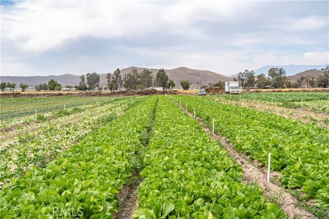 Winchester, California, 92596, United States, 5 Bedrooms Bedrooms, ,3 BathroomsBathrooms,Residential,For Sale,1870812