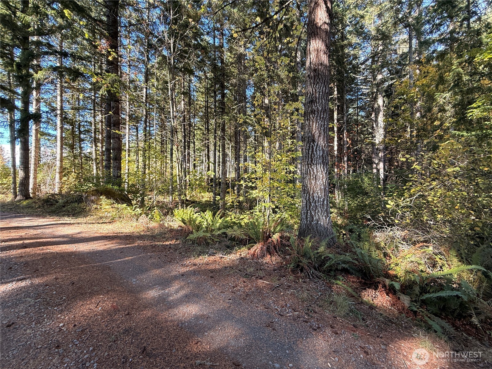 Rainier, Washington, 98576, United States, ,Land,For Sale,1998419