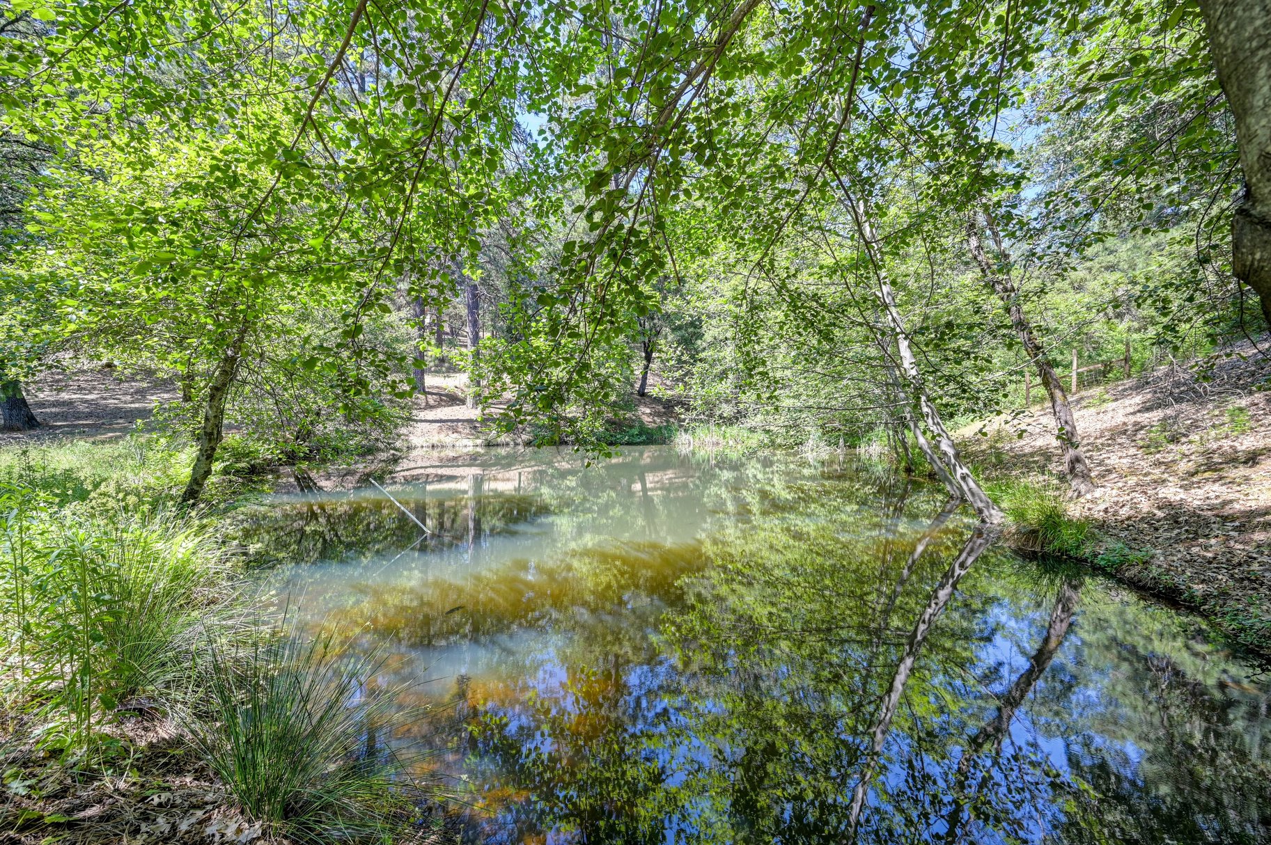  Immaculately Maintained Country Retreat on Acreage with pond - 物件實景