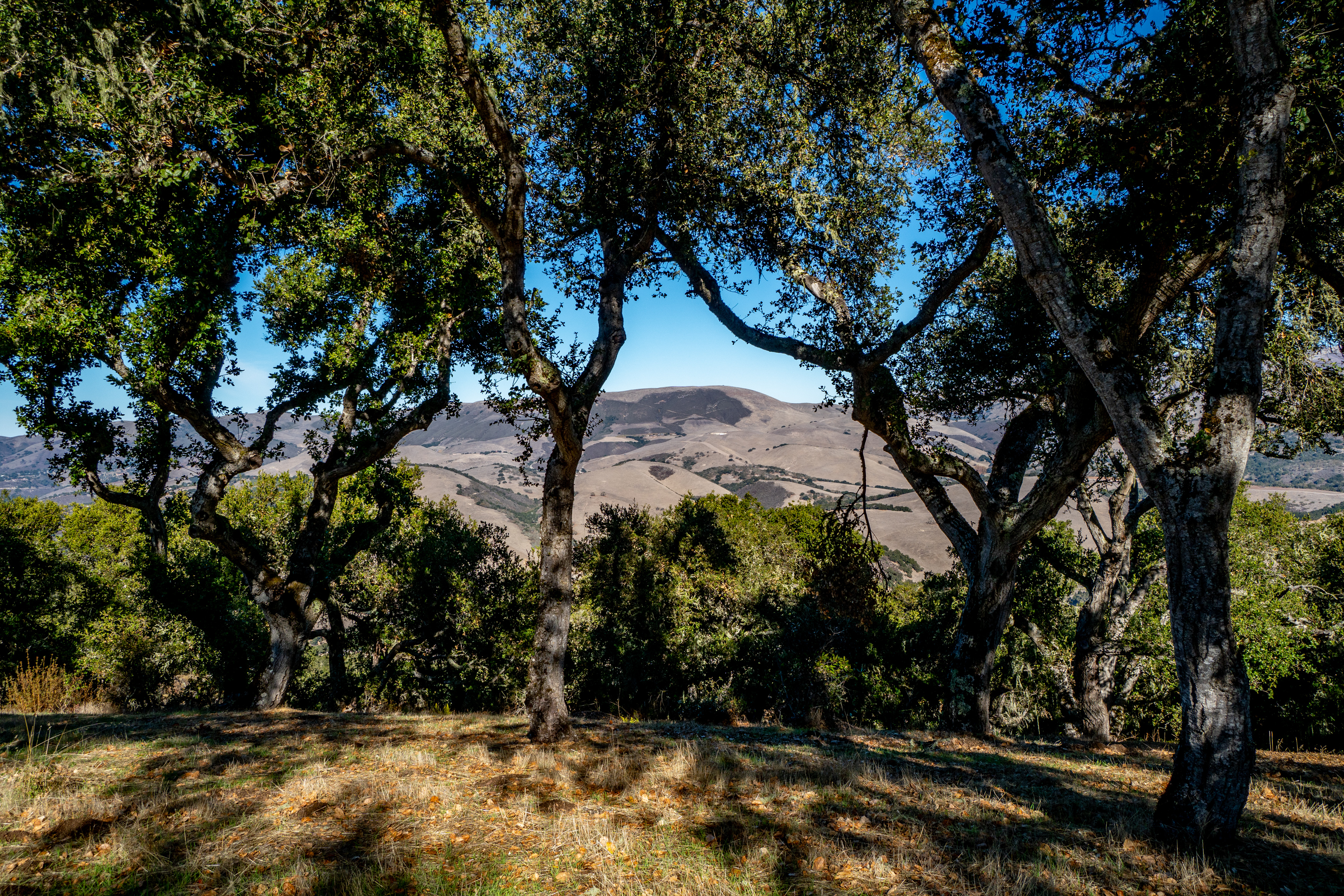  17114 Cachagua Road - 物件實景