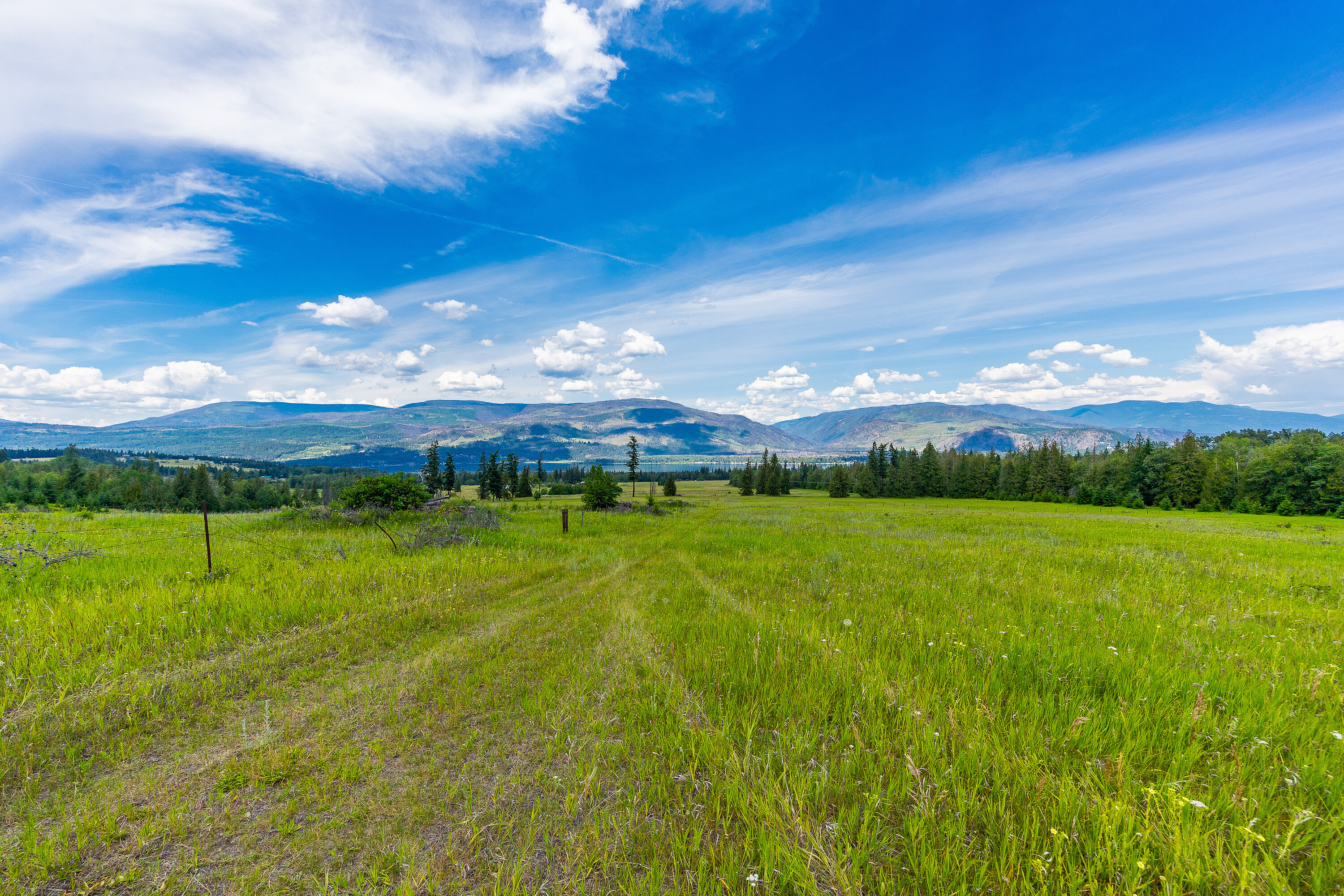  35.237 Acre Parcel in Sorrento - 物件實景