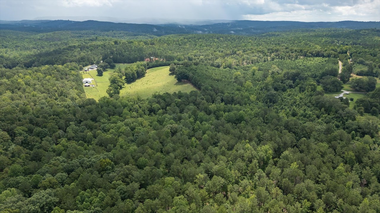 Heflin, Alabama, 36264, United States, ,Land,For Sale,1981342