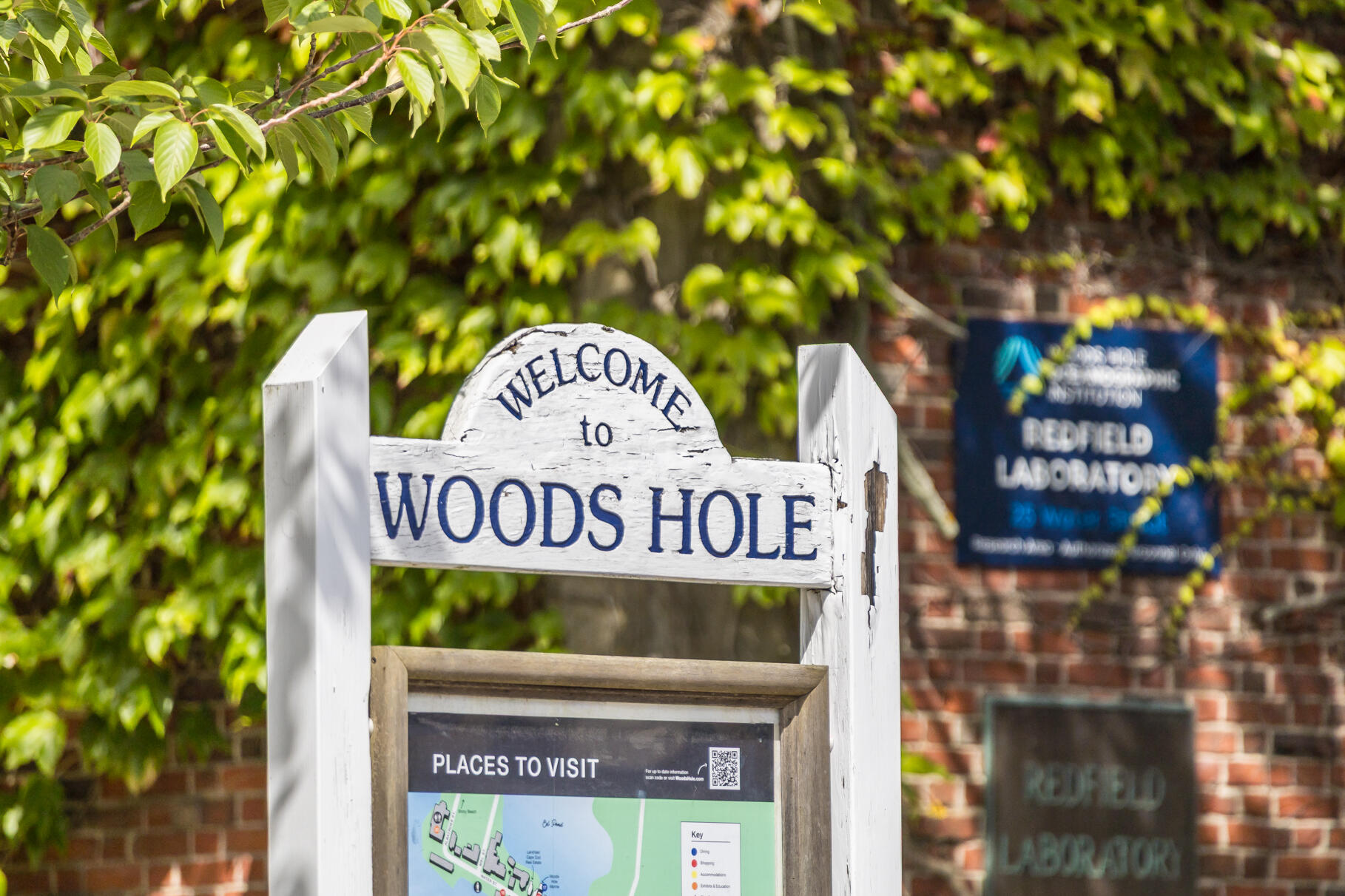  533 Woods Hole Road UNIT D101 - 物件實景