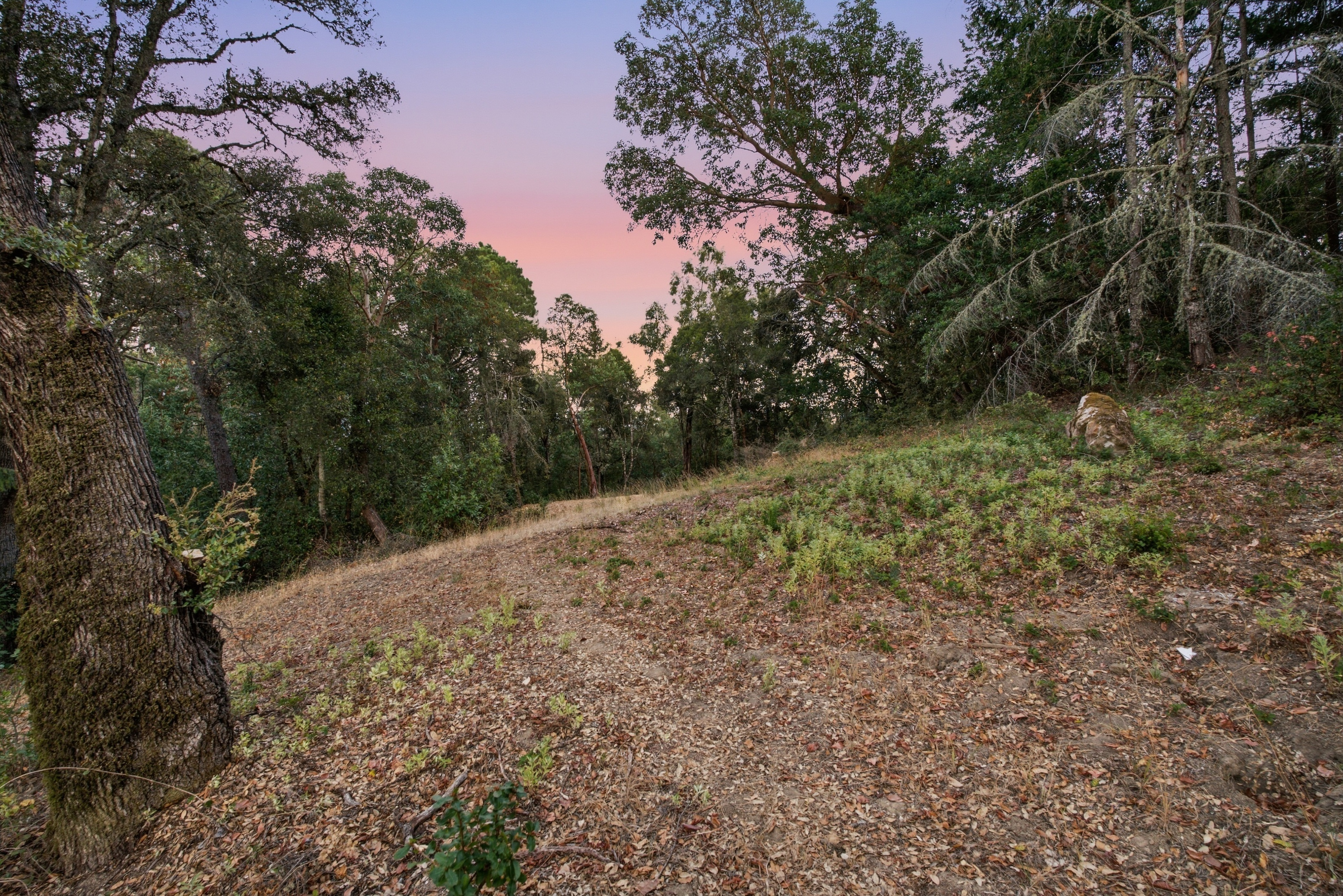  Exceptional Five-Acre Estate Opportunity with Bay Area Views - 物件實景