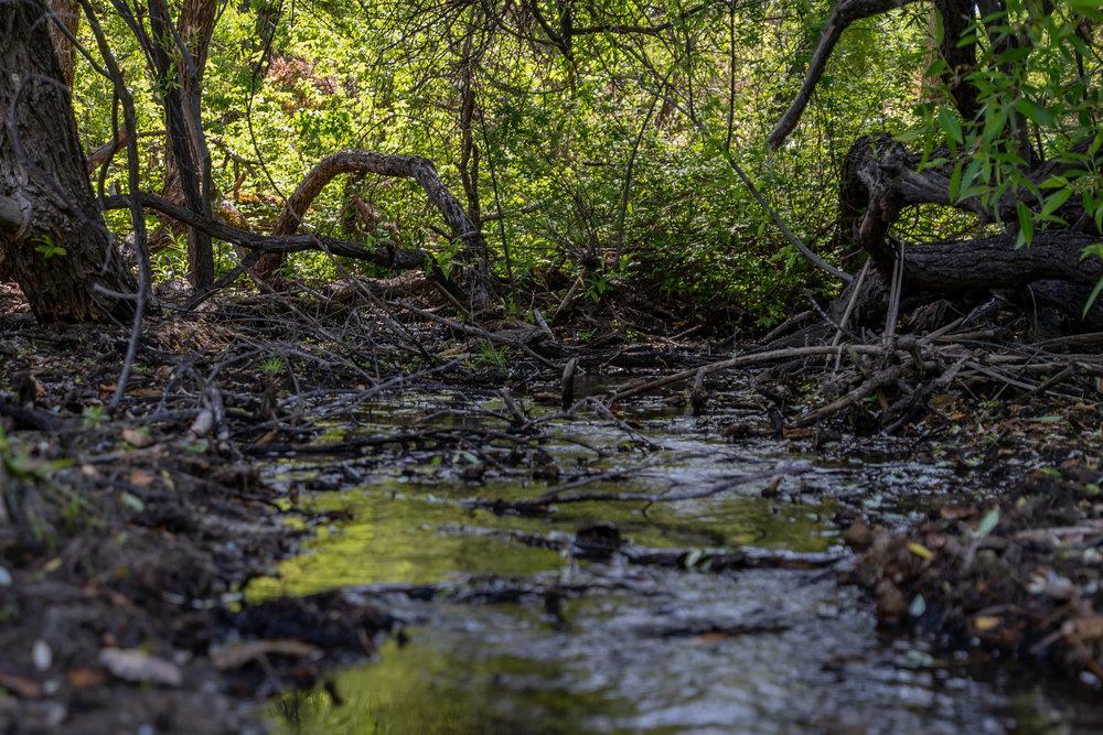 Greenfield, California, 93927, United States, ,Residential,For Sale,1943227