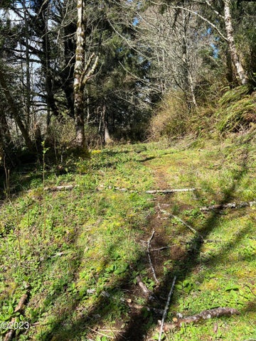 Pacific City, Oregon, 97135, United States, ,Land,For Sale,1977303