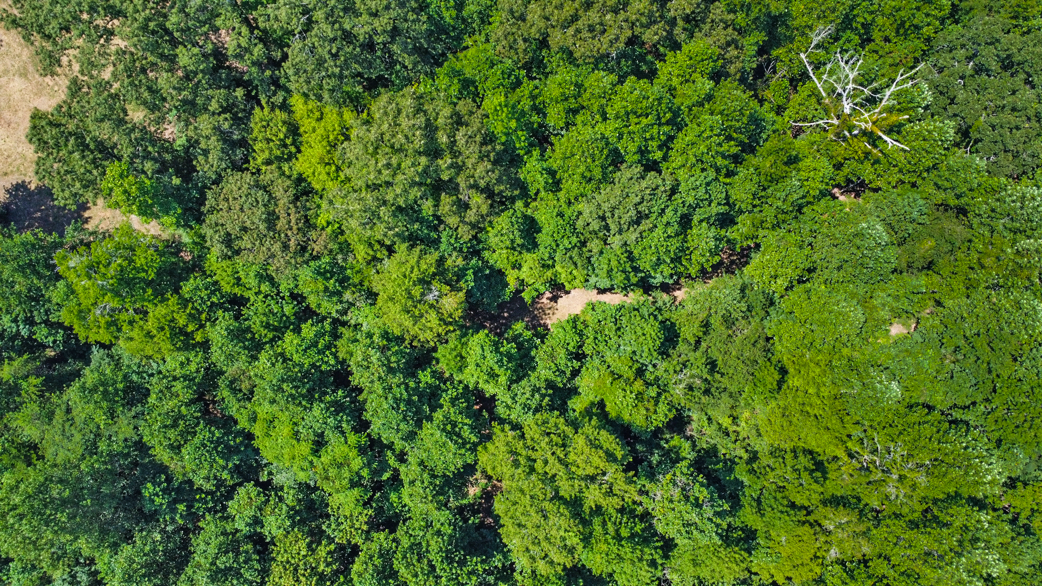 Rockwood, Tennessee, 37854, United States, 4 Bedrooms Bedrooms, ,3 BathroomsBathrooms,Residential,For Sale,2011403