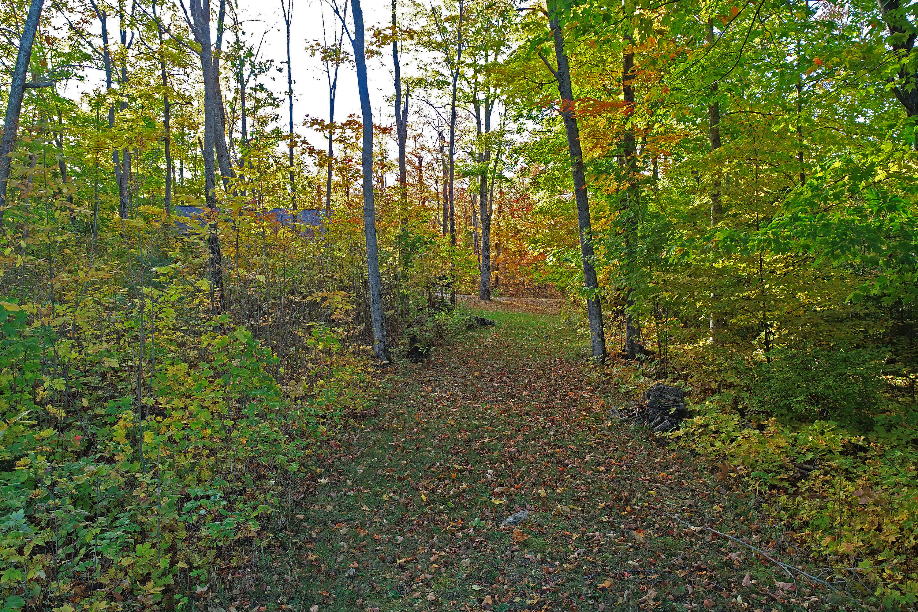  Central Manitoulin, - 物件實景