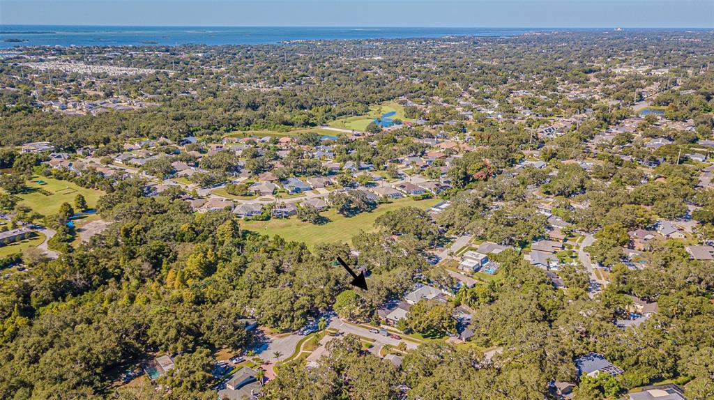 Palm Harbor, Florida, 34683, United States, 4 Bedrooms Bedrooms, ,3 BathroomsBathrooms,Residential,For Sale,1974920