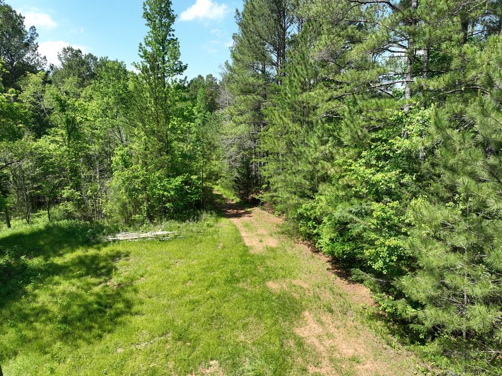 Ranger, Georgia, 30734, United States, ,Residential,For Sale,1924900