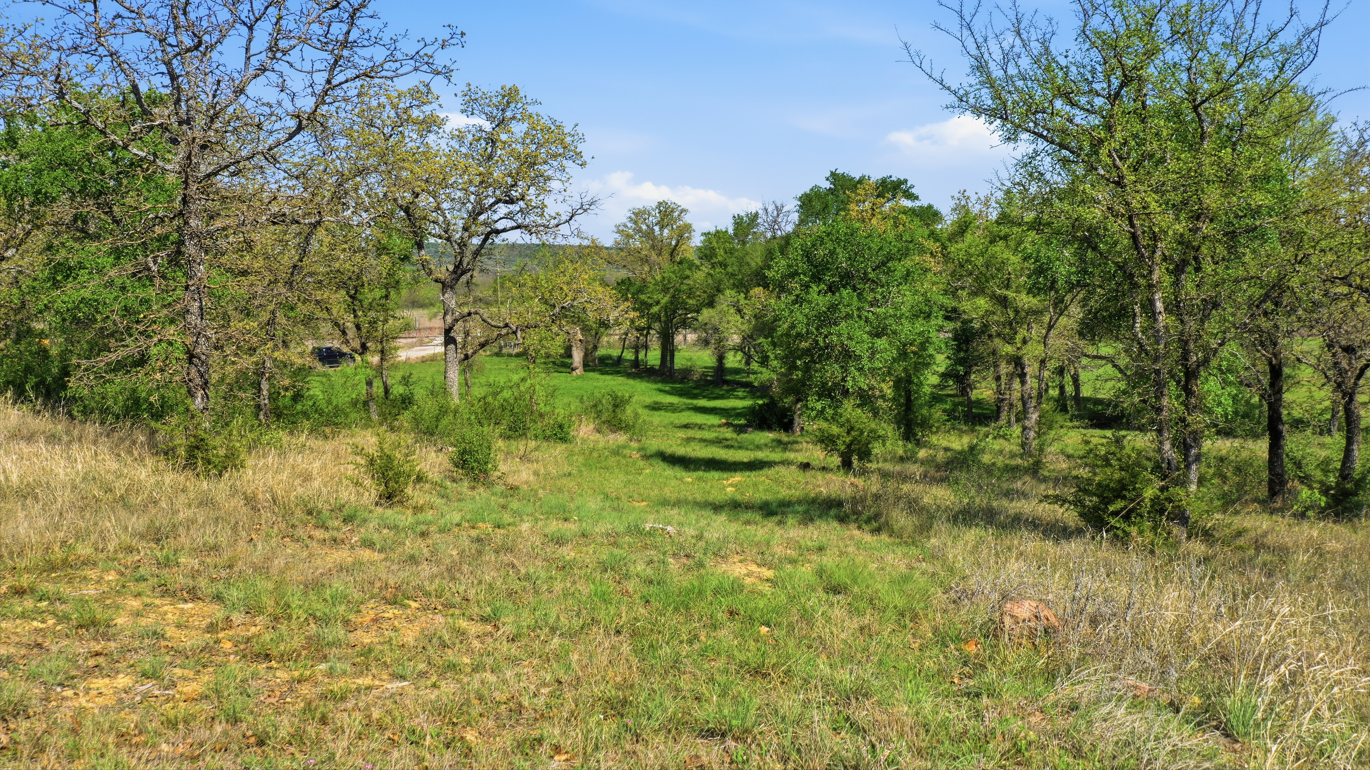  Space for Barns, Workshops, and Big Texas Dreams - 物件實景
