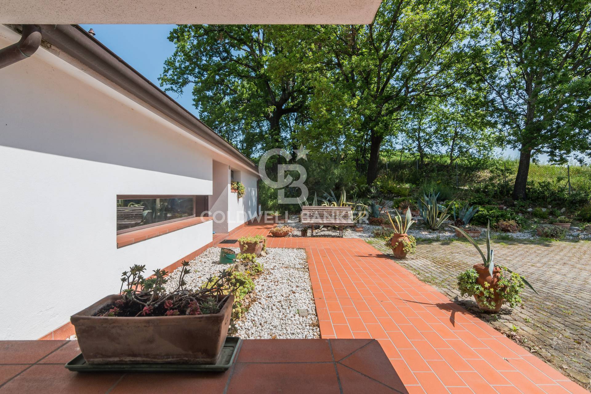 via giardino, San Clemente, Rimini, 47040, IT, 5 Bedrooms Bedrooms, ,3 BathroomsBathrooms,Residential,For Sale,via giardino,1522427
