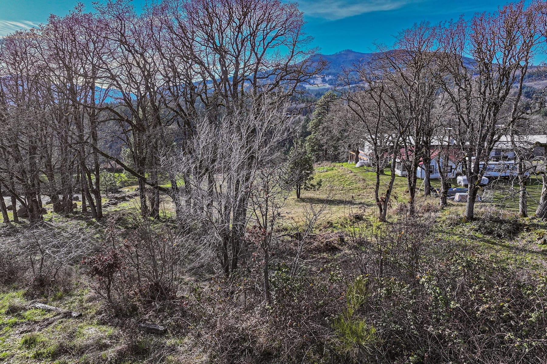  1170 SW THORNTON DR White Salmon, WA 98672 - 物件實景