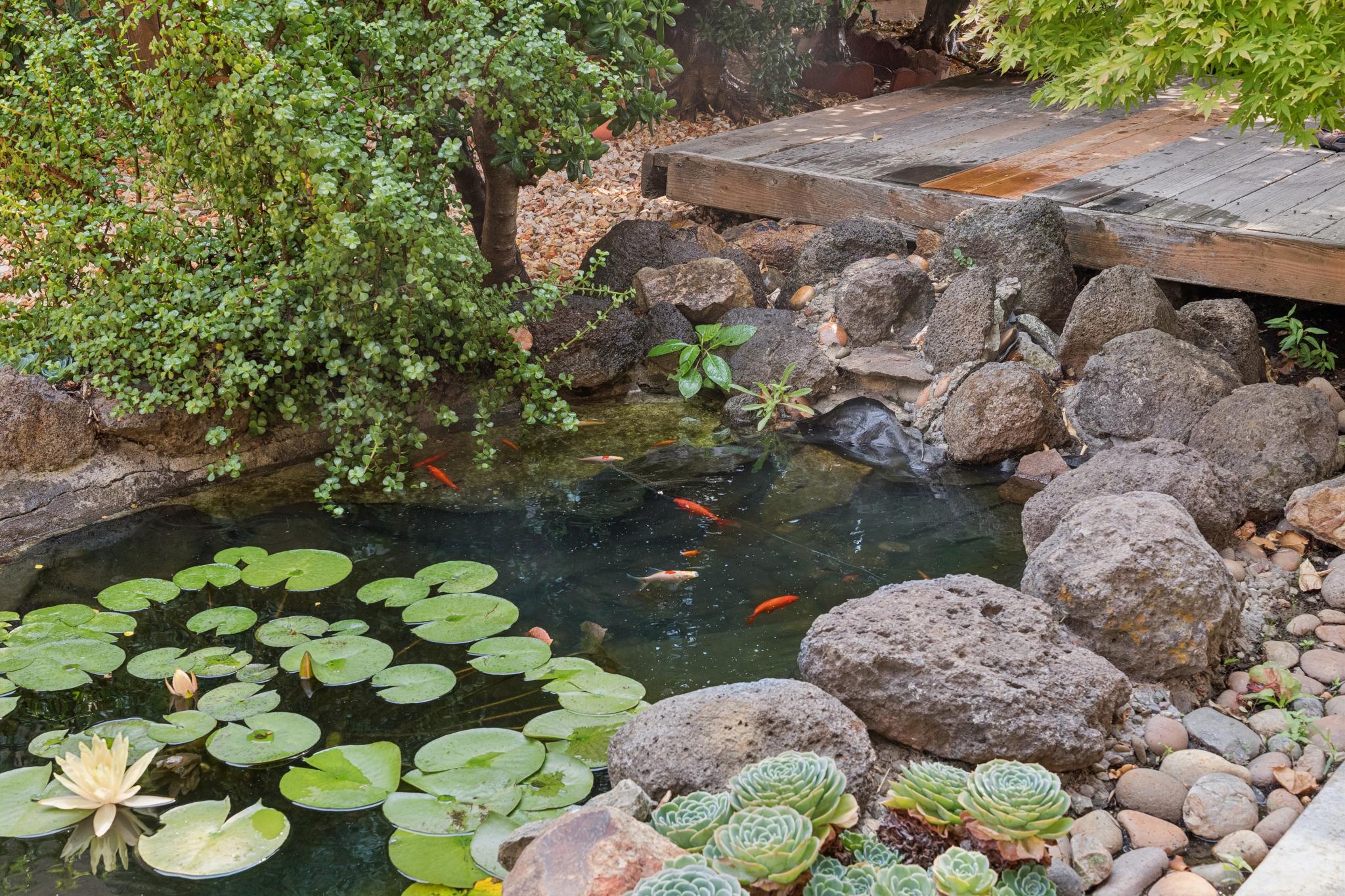  5039 Gadwall Circle, Stockton, CA, 95207 - 物件實景