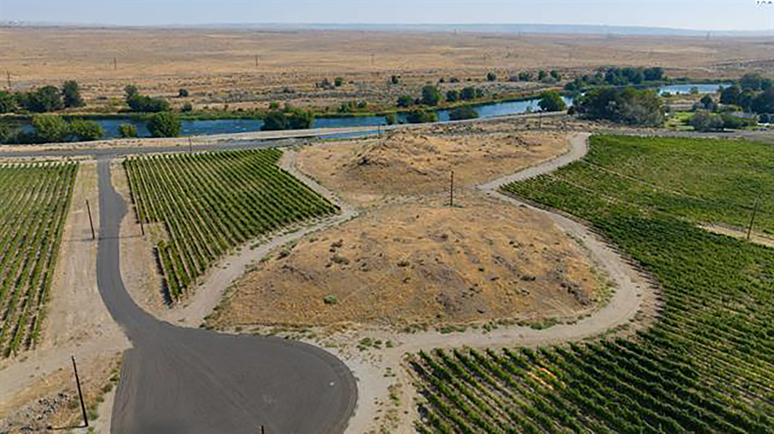  Vineyard View - 物件實景