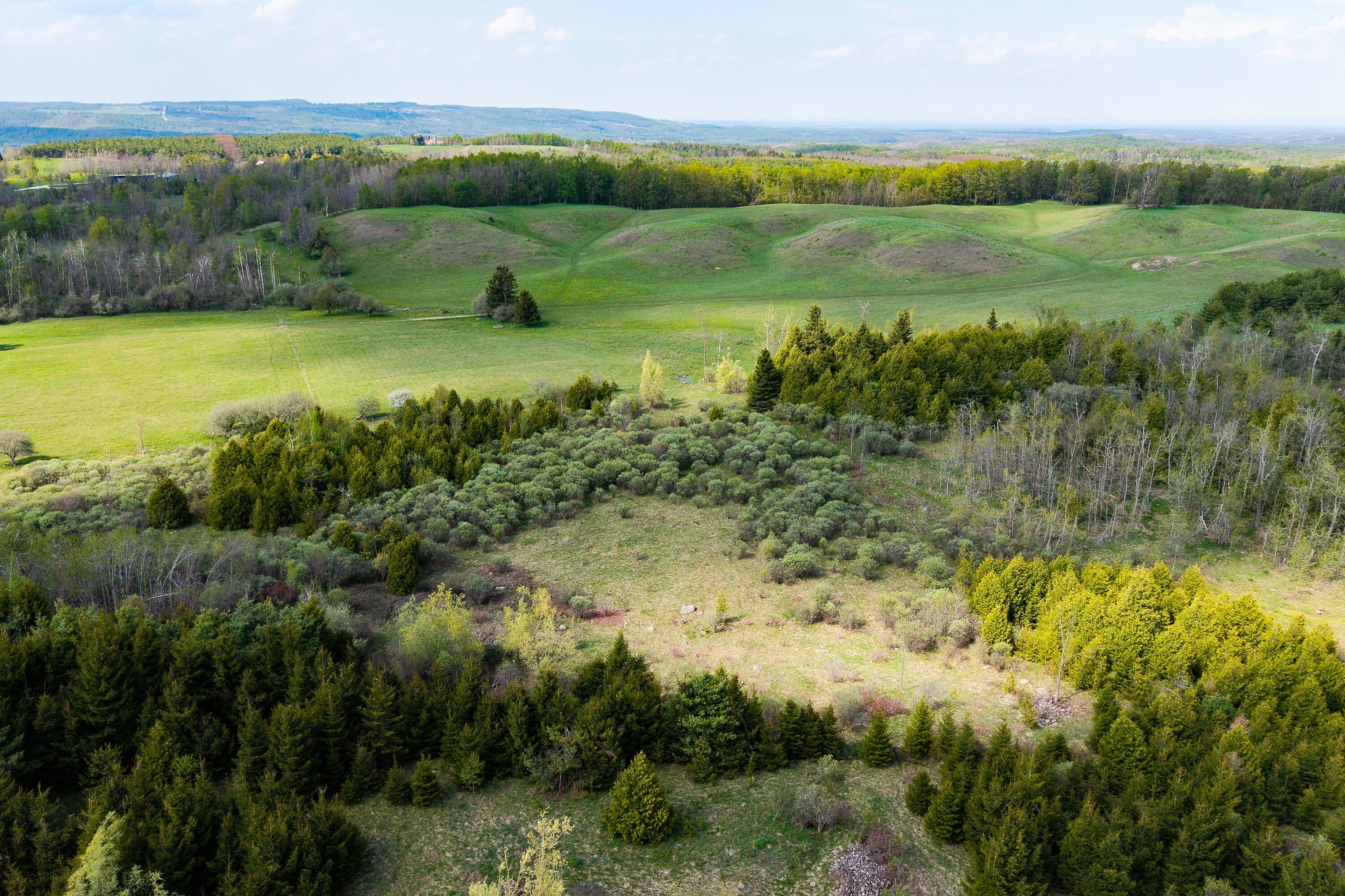  Private 50 acres in Mulmur - 物件實景