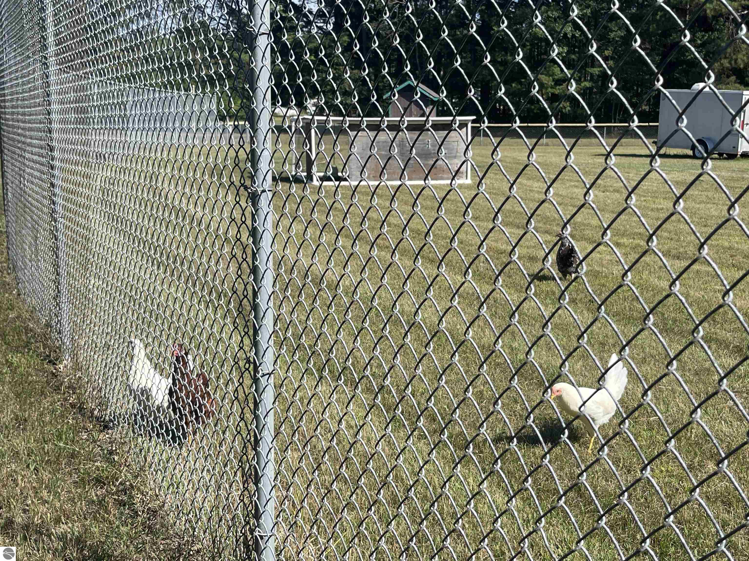 Harrison, Michigan, 48625, United States, 3 Bedrooms Bedrooms, ,3 BathroomsBathrooms,Residential,For Sale,2007546