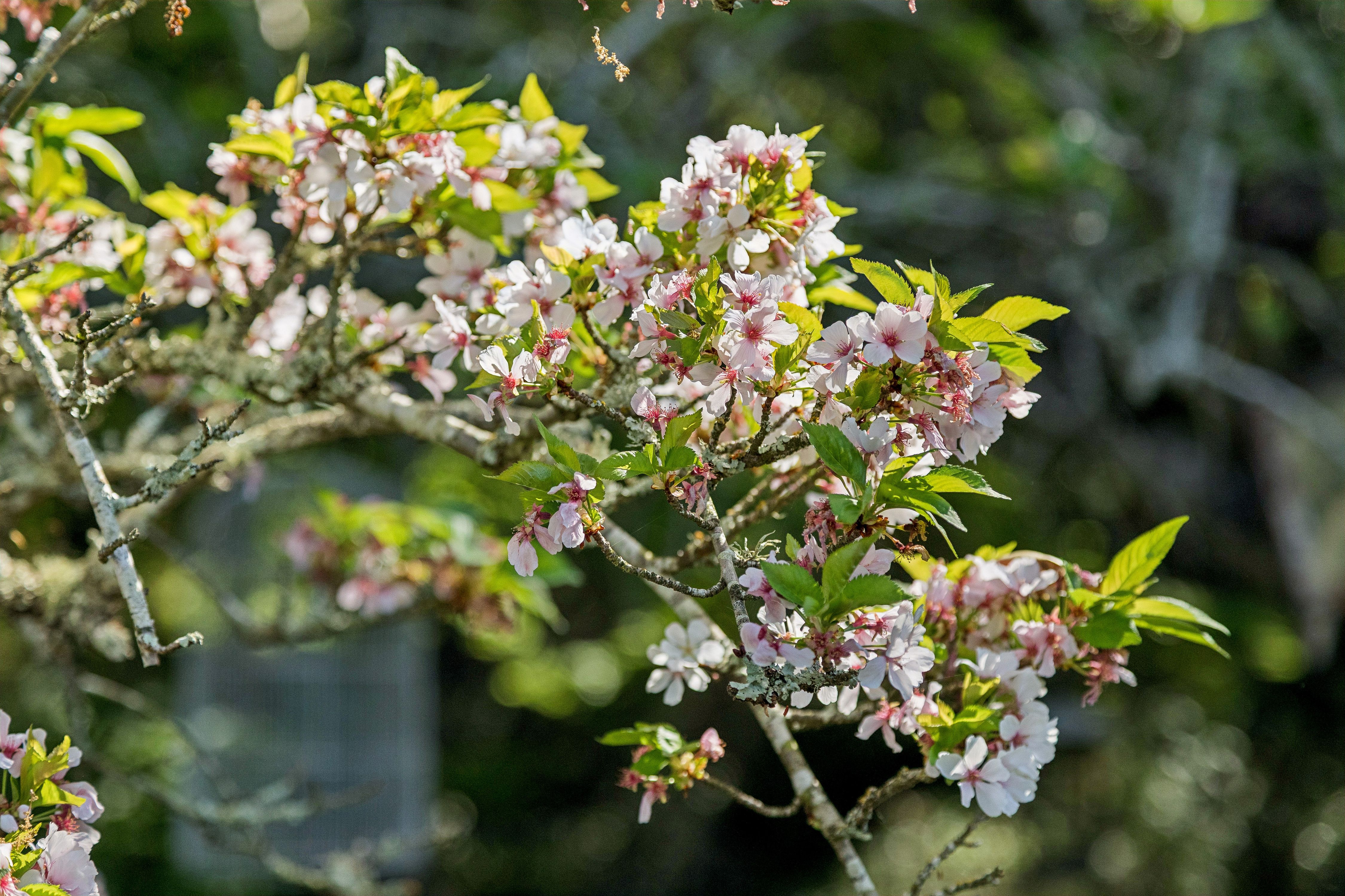  Charming Country Property - 物件實景