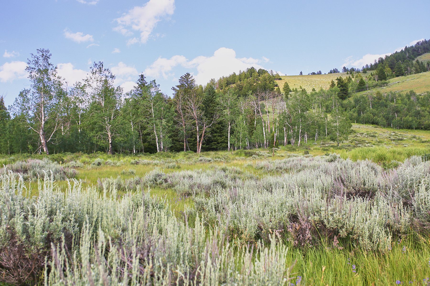  Snake River Sporting Club Lot - 物件實景
