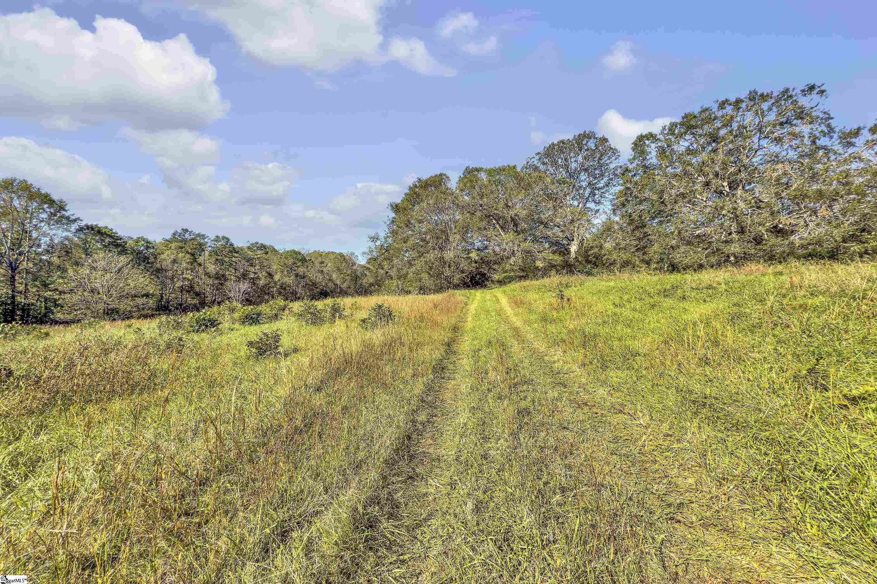 Old Converse Road, Spartanburg, South Carolina, 29301, United States, ,Land,For Sale,Old Converse Road,1647138