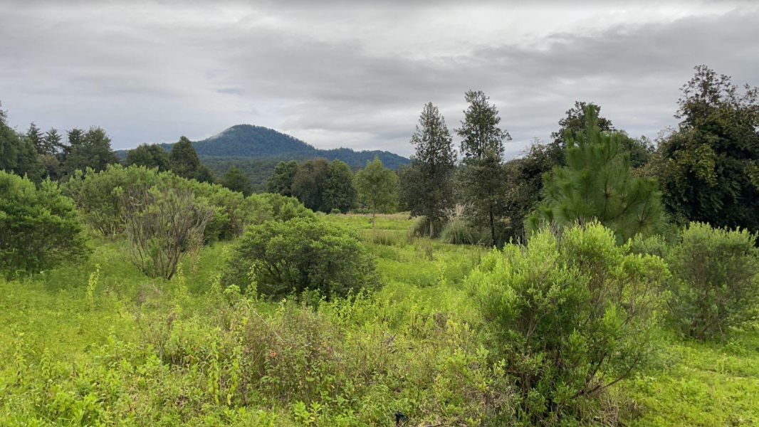 San Simon, Valle de Bravo, Estado de México, 51240, Mexico, 1 Bedroom Bedrooms, ,Residential,For Sale,San Simon,1442734