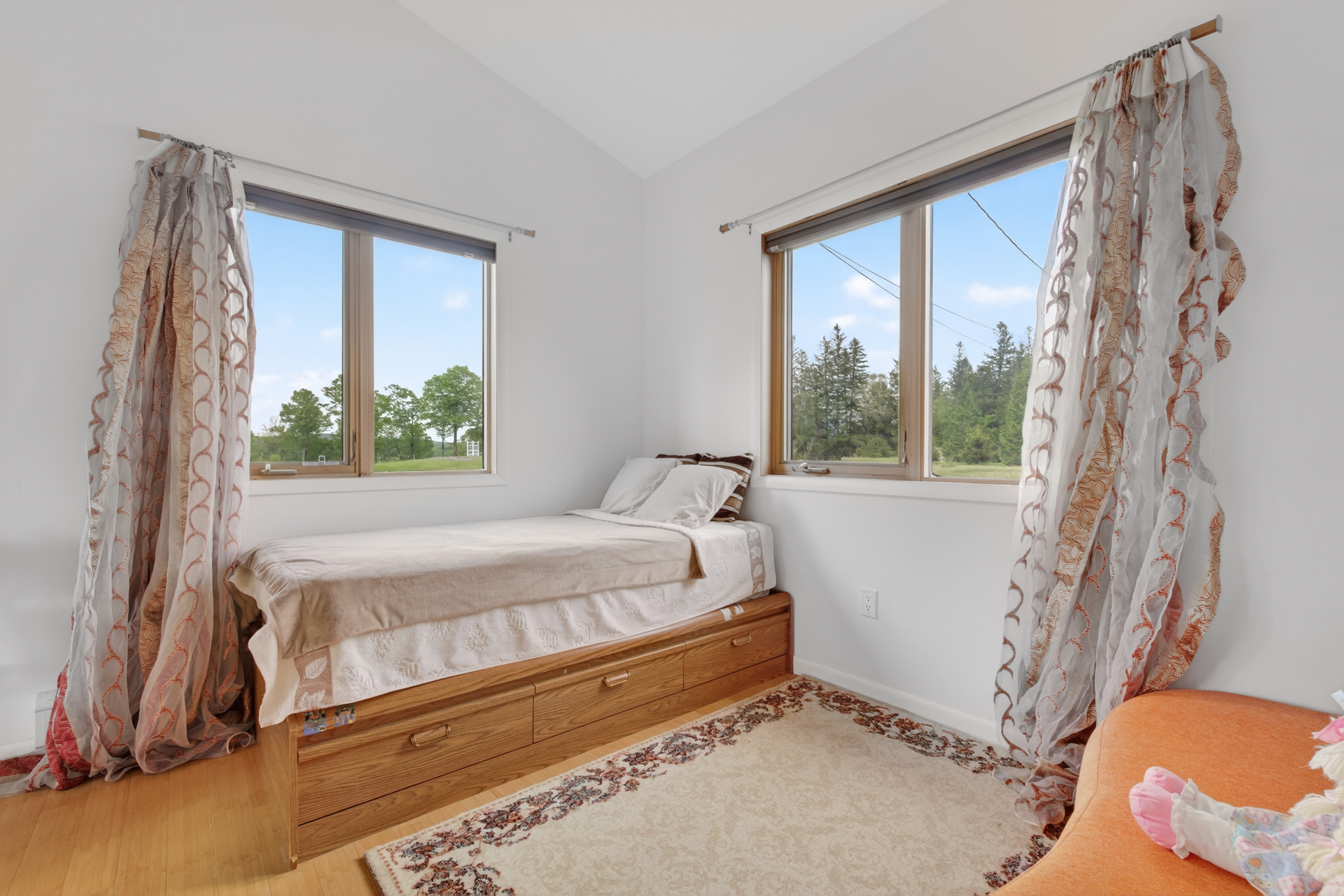  81 N Pond Drive, Livingston Manor, NY, 12758 - 物件實景