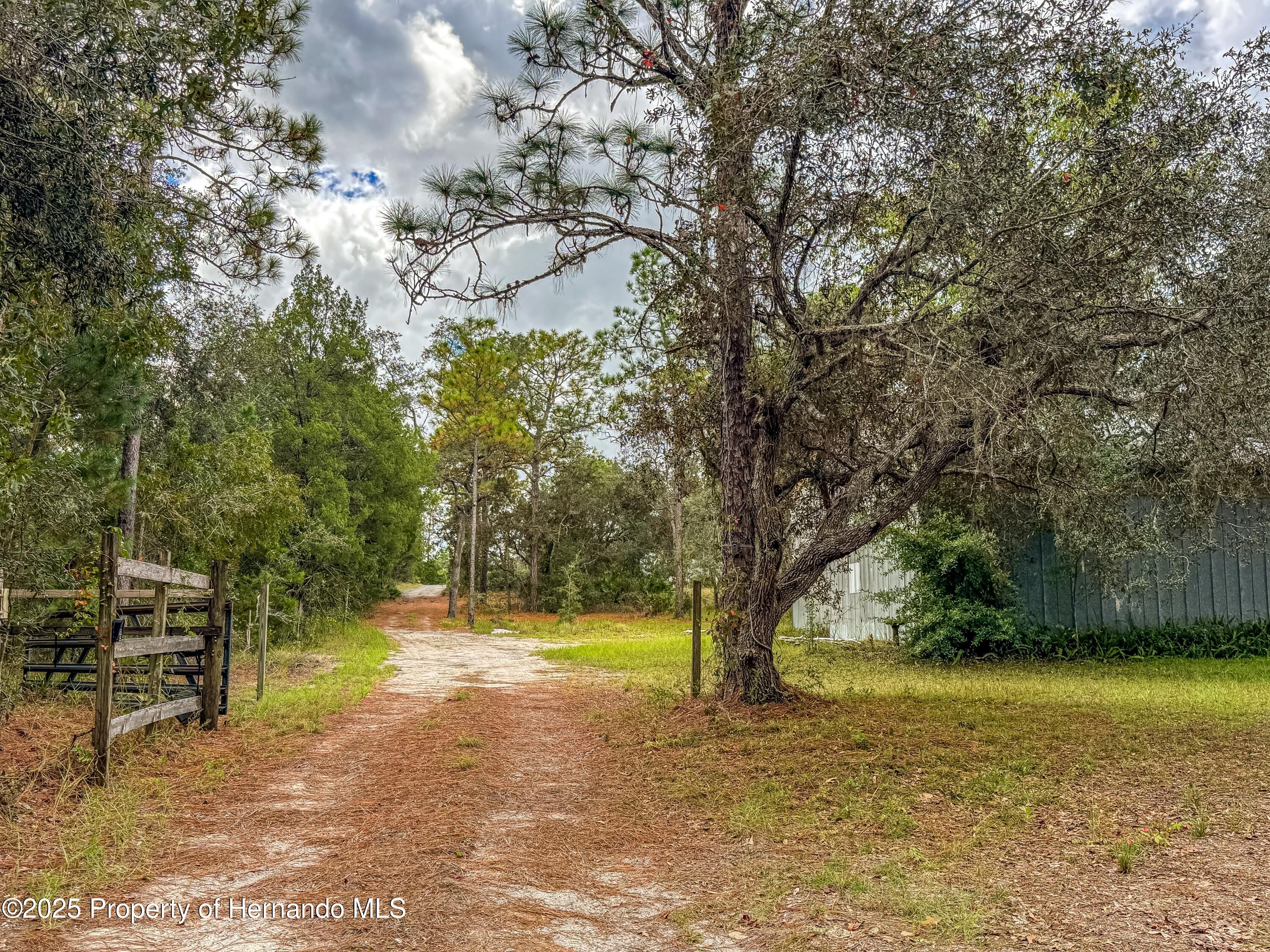 Brooksville, Florida, 34613, United States, 4 Bedrooms Bedrooms, ,2 BathroomsBathrooms,Residential,For Sale,1975088