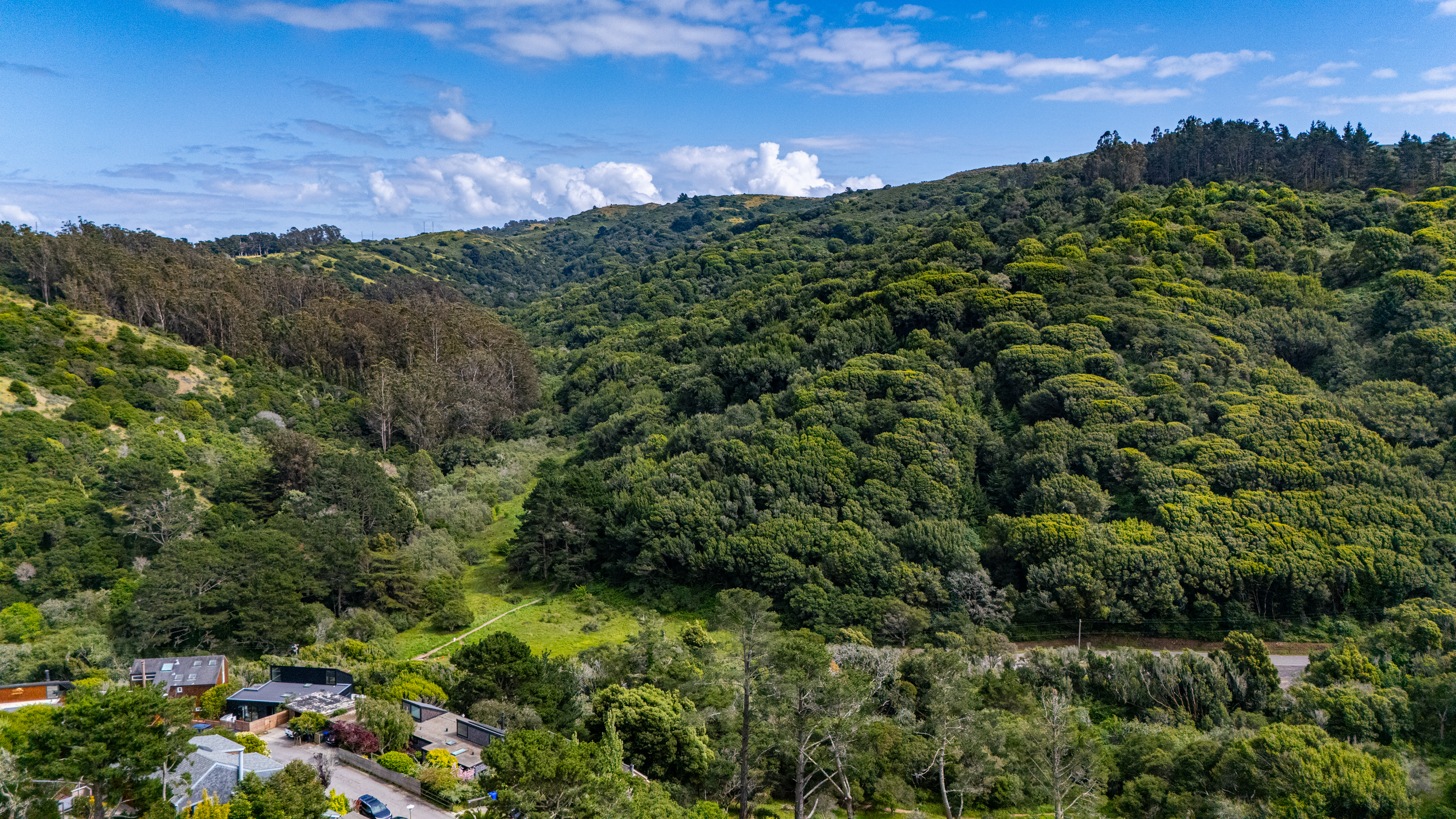  Contempary Hillside Living - 物件實景