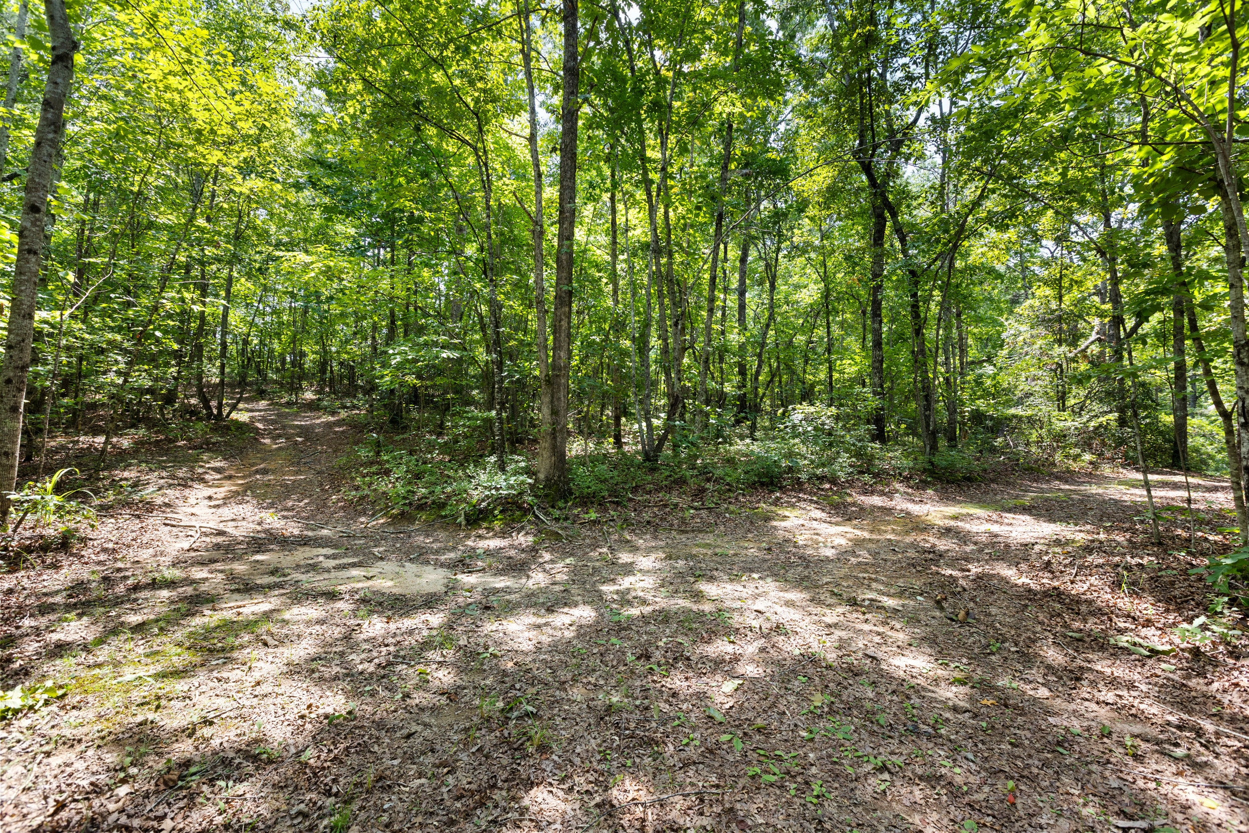  3765 South Carolina 11, Pickens, SC 29671 - 物件實景