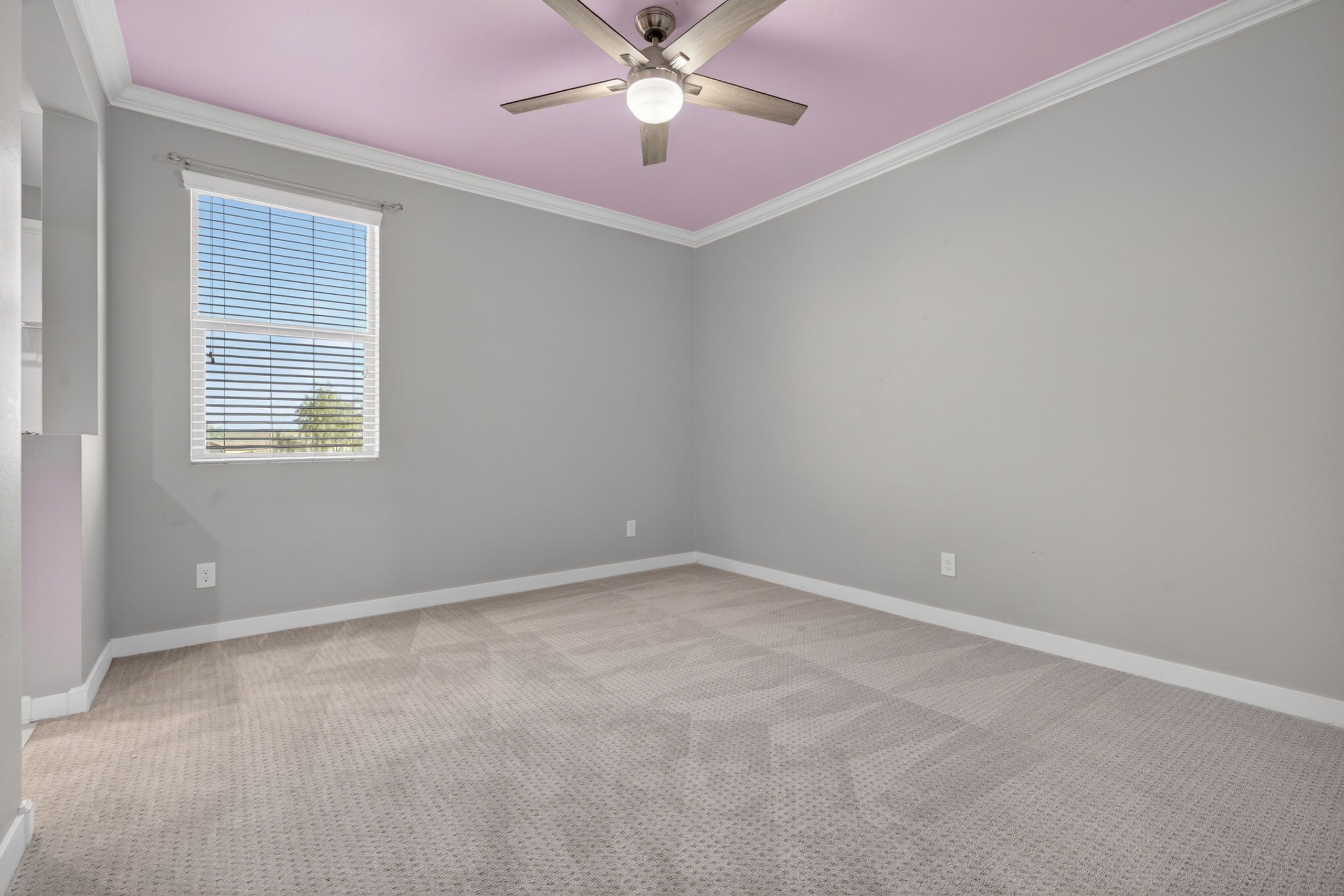  25519 N 102nd Drive  Peoria, AZ - 物件實景