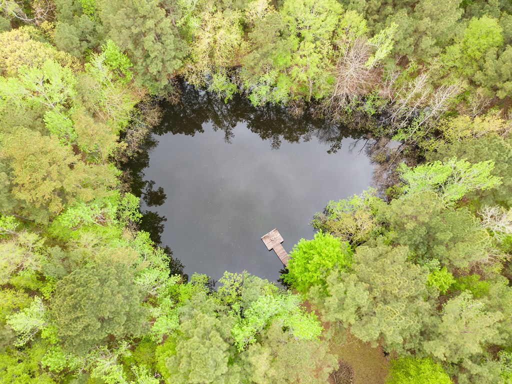 Pineland, Texas, 75968, United States, 4 Bedrooms Bedrooms, ,5 BathroomsBathrooms,Residential,For Sale,1983137