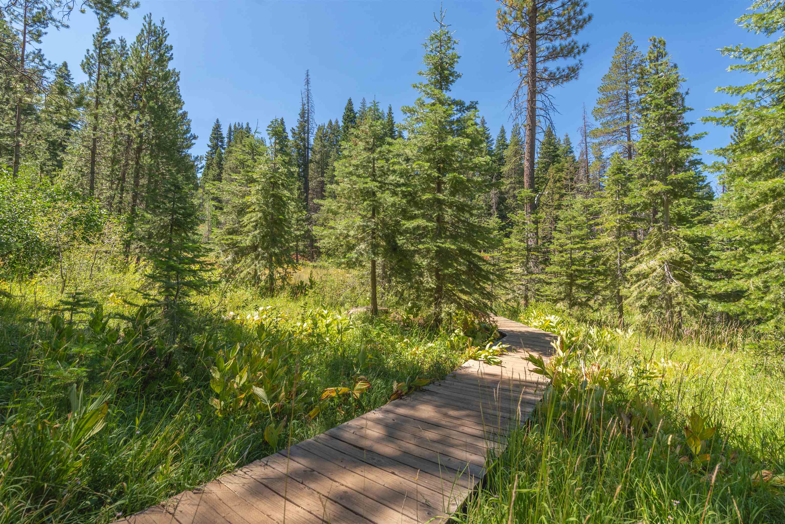 Truckee, California, 96161, United States, 3 Bedrooms Bedrooms, ,2 BathroomsBathrooms,Residential,For Sale,1917149