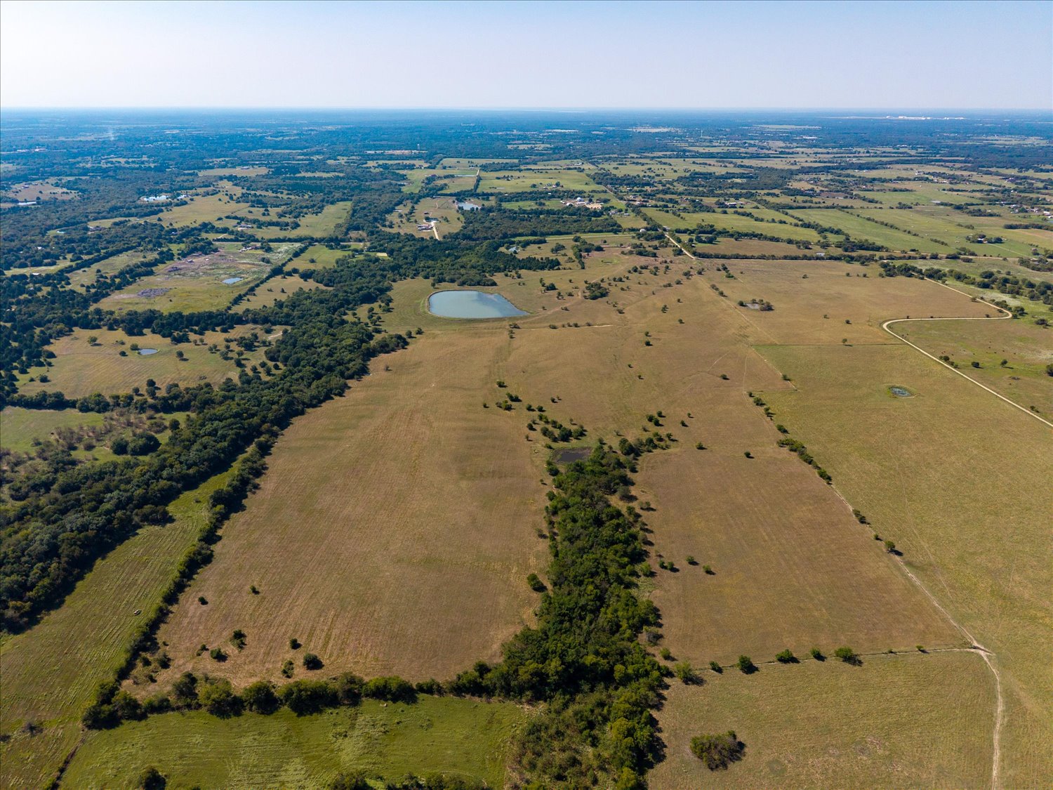 Campbell, Texas, 75422, United States, ,Land,For Sale,2014802