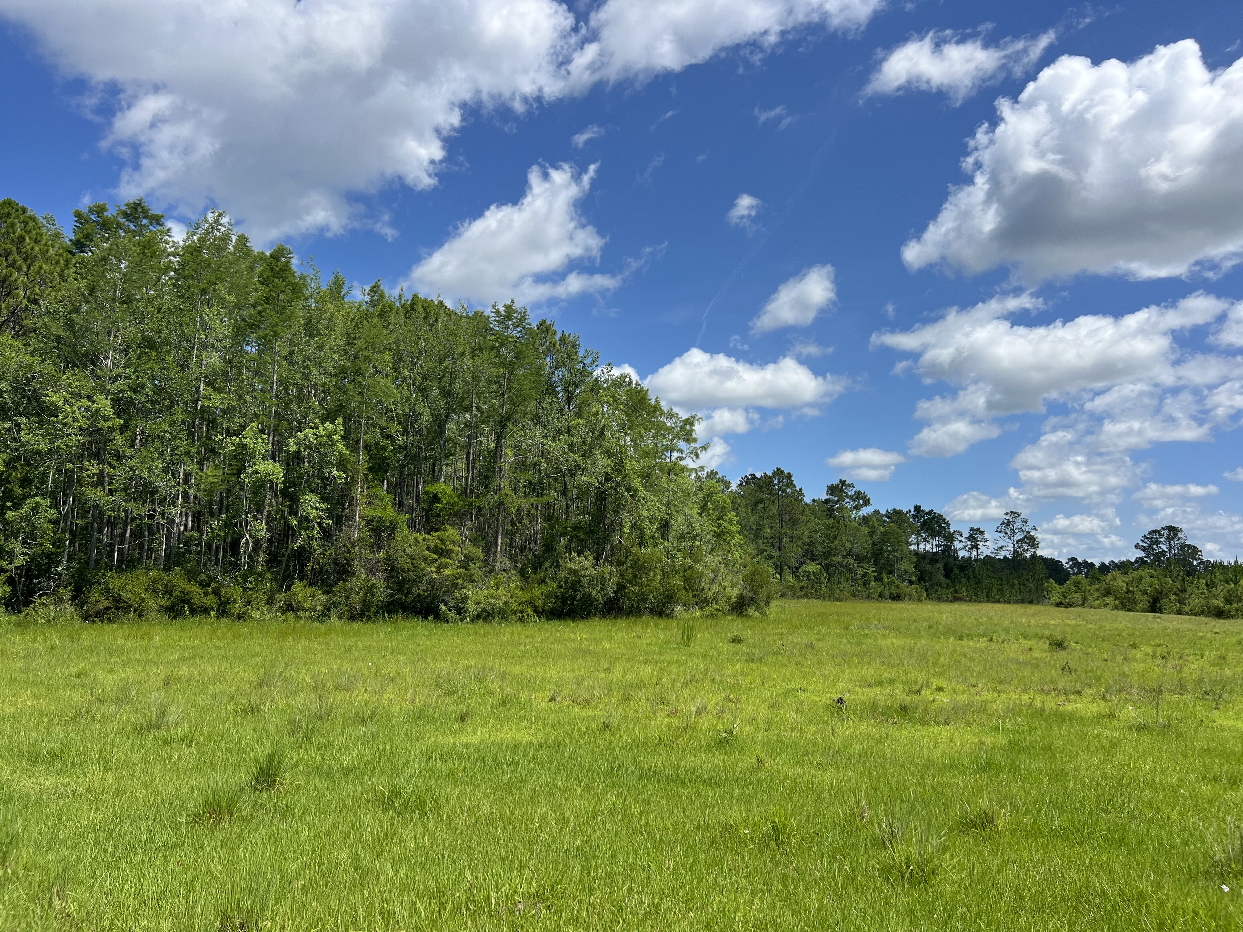 LAKE CITY, Florida, 32024, United States, ,Land,For Sale,1867172
