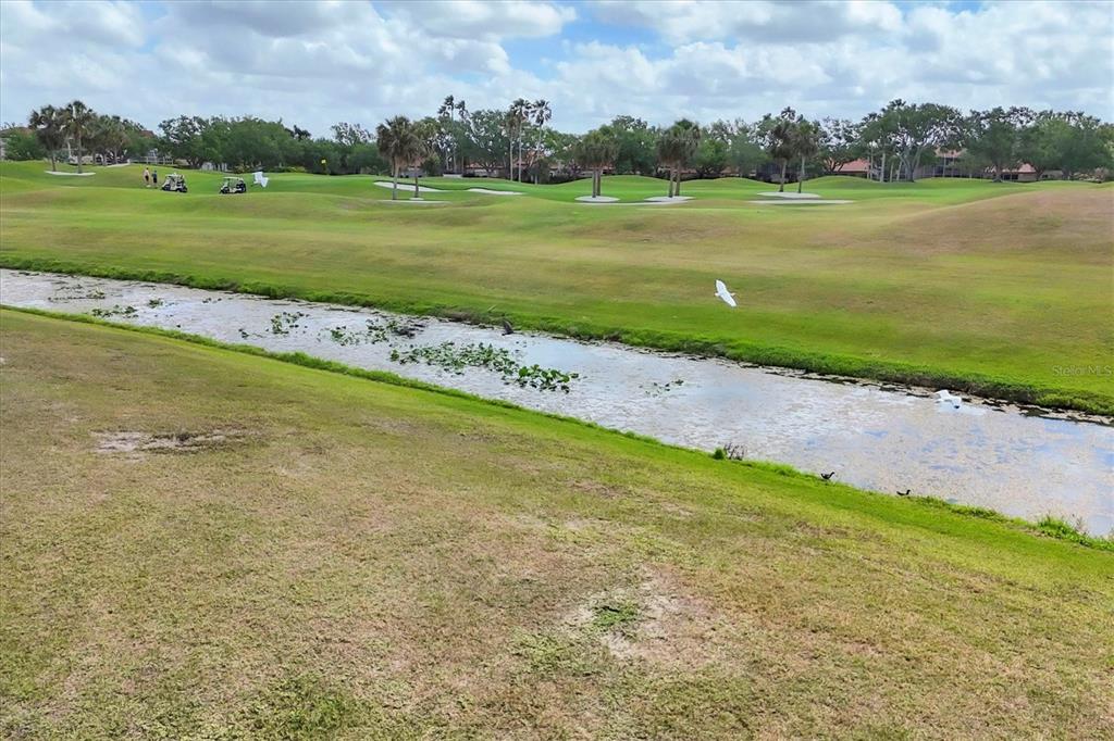 Sarasota, Florida, 34238, United States, 2 Bedrooms Bedrooms, ,2 BathroomsBathrooms,Residential,For Sale,1818711