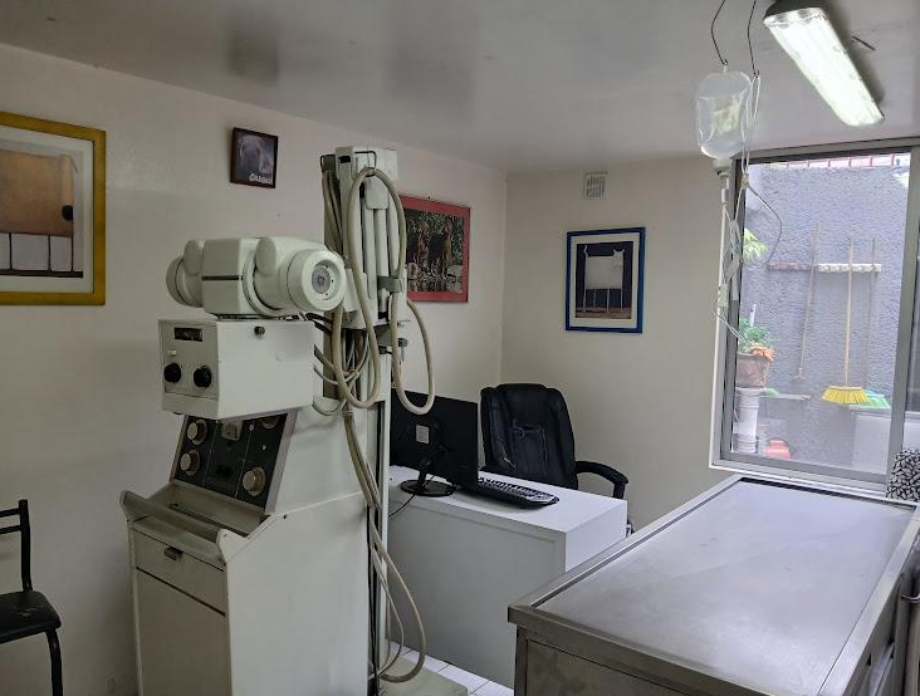 Coyoacán, Ciudad de México, 04200, Mexico, 4 Bedrooms Bedrooms, ,2 BathroomsBathrooms,Residential,For Sale,1916889