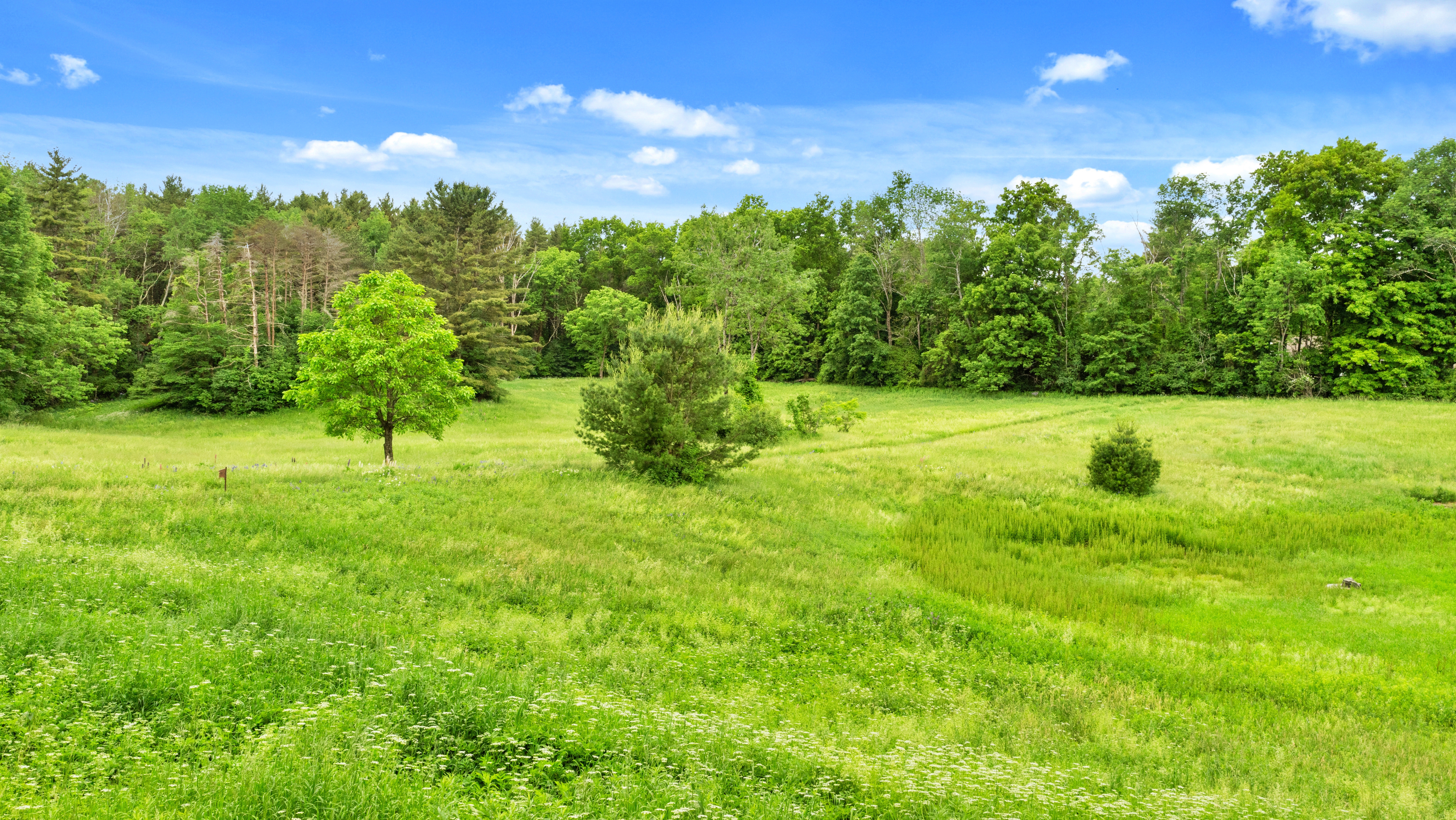  13-Acre Historic Estate with Modern Upgrades + Barn & Studio - 物件實景