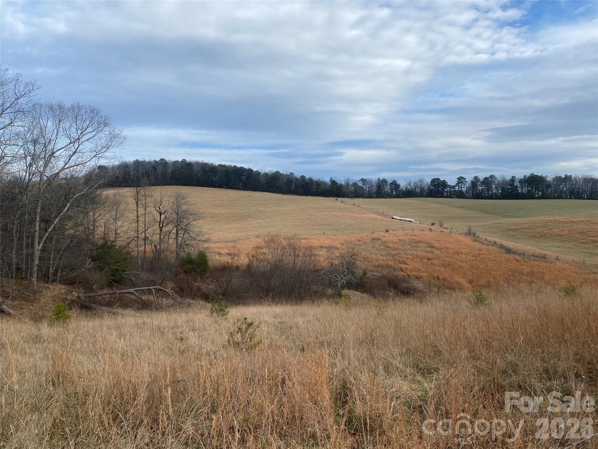 Hendersonville, North Carolina, 28792, United States, ,Land,For Sale,2010421