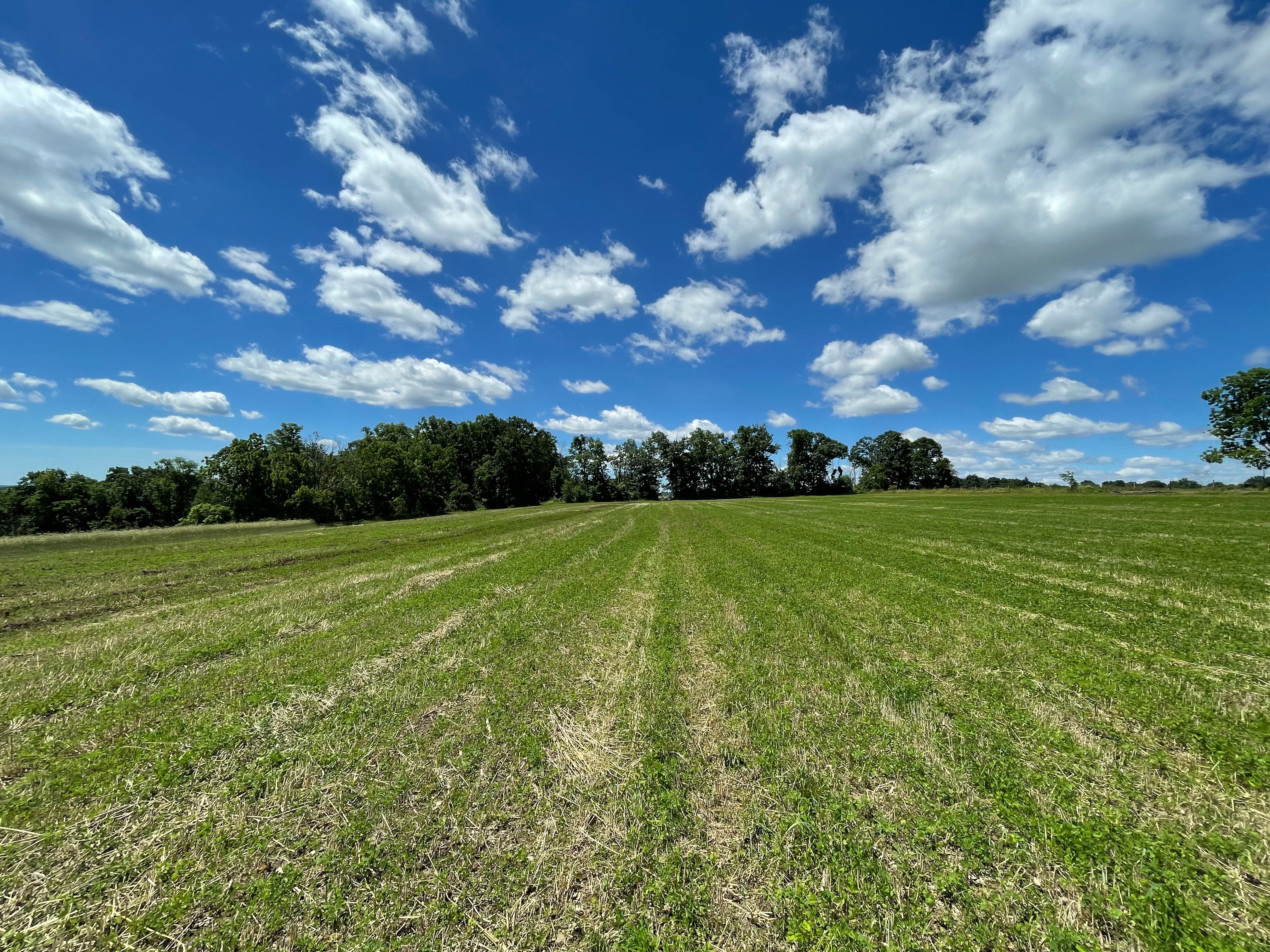  4099 Curly Hill Road, Doylestown, PA 18902 - 物件實景