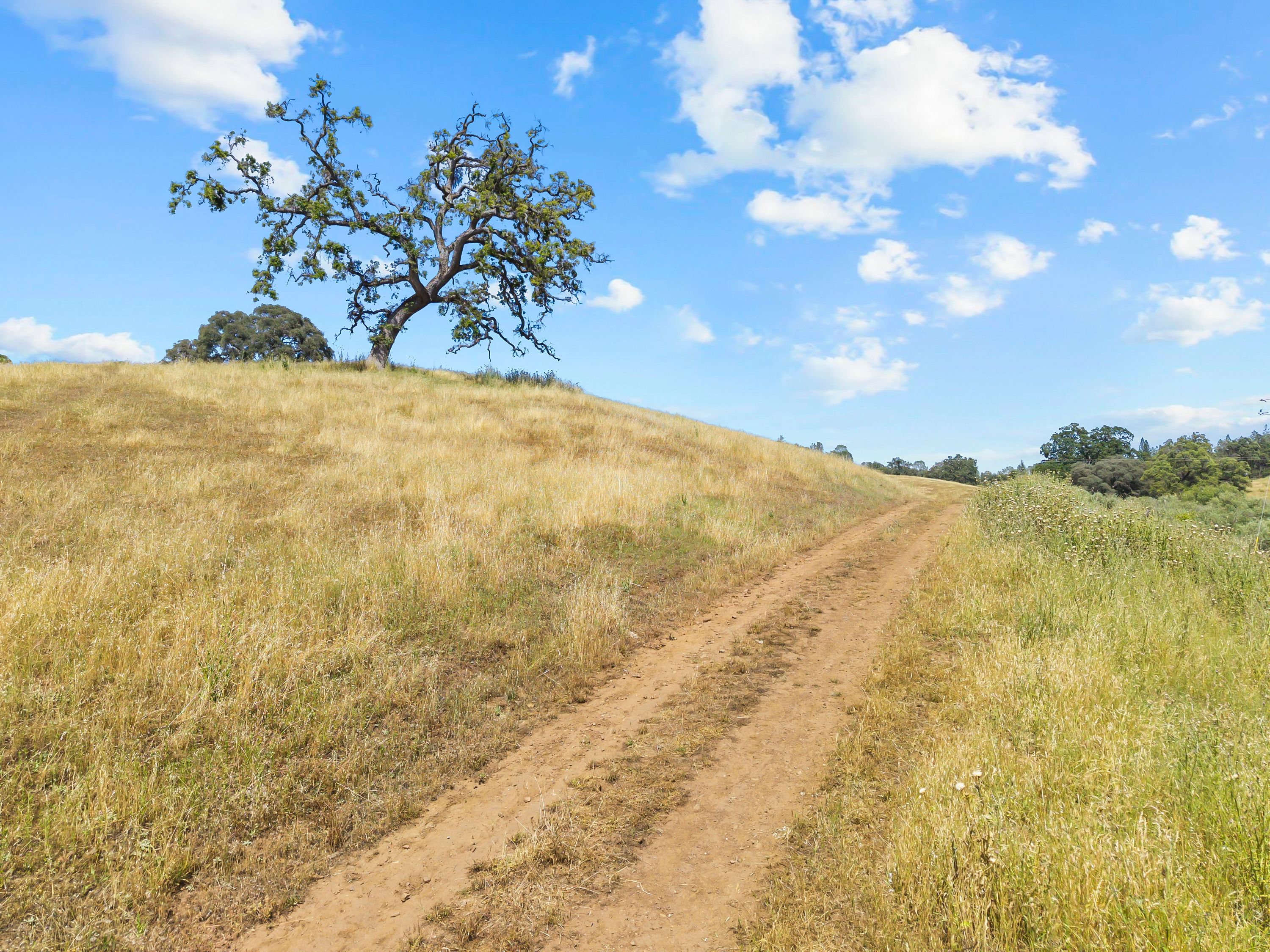  Amoruso Ranch 1000+ Acres Legacy - 物件實景