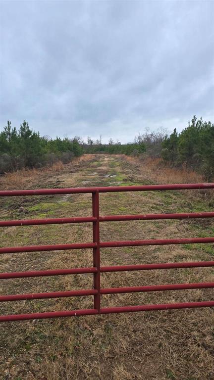 Huntington, Texas, 75949, United States, ,Land,For Sale,1785259