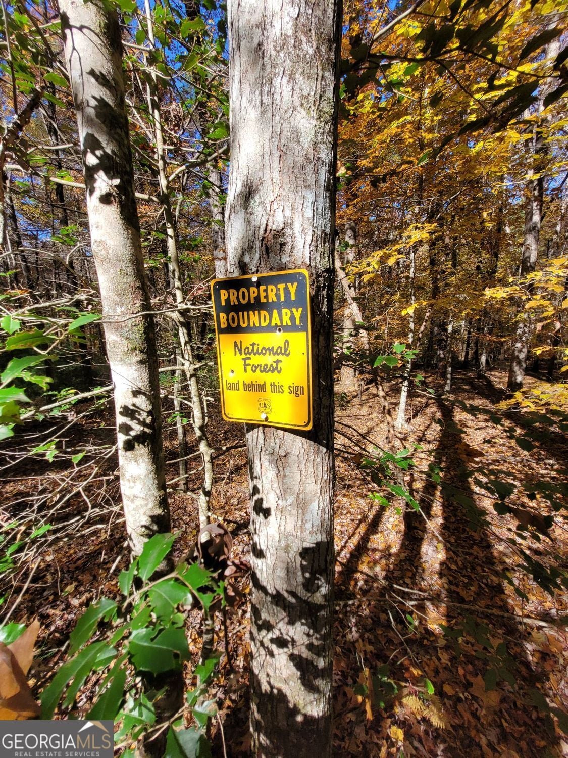 Clayton, Georgia, 30525, United States, 4 Bedrooms Bedrooms, ,3 BathroomsBathrooms,Residential,For Sale,1987187