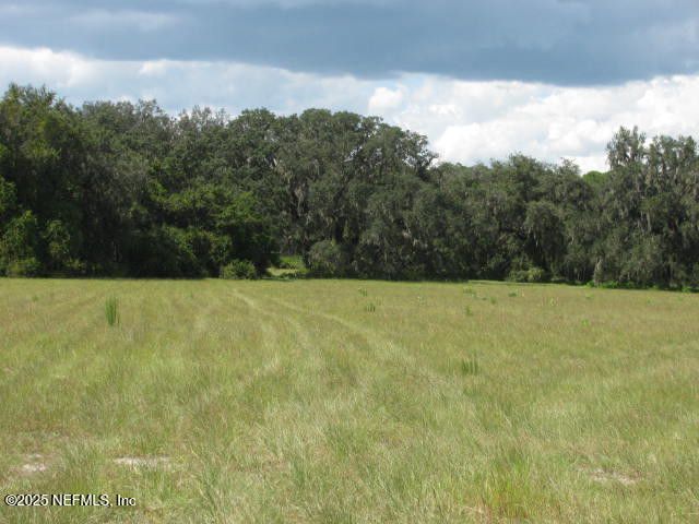 Crescent City, Florida, 32112, United States, ,Land,For Sale,1974247