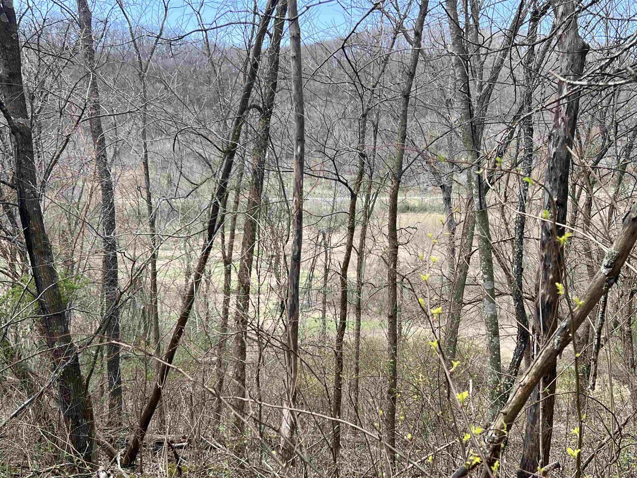 Mount Sterling, Wisconsin, 54645, United States, 1 Bedroom Bedrooms, ,Residential,For Sale,1975253