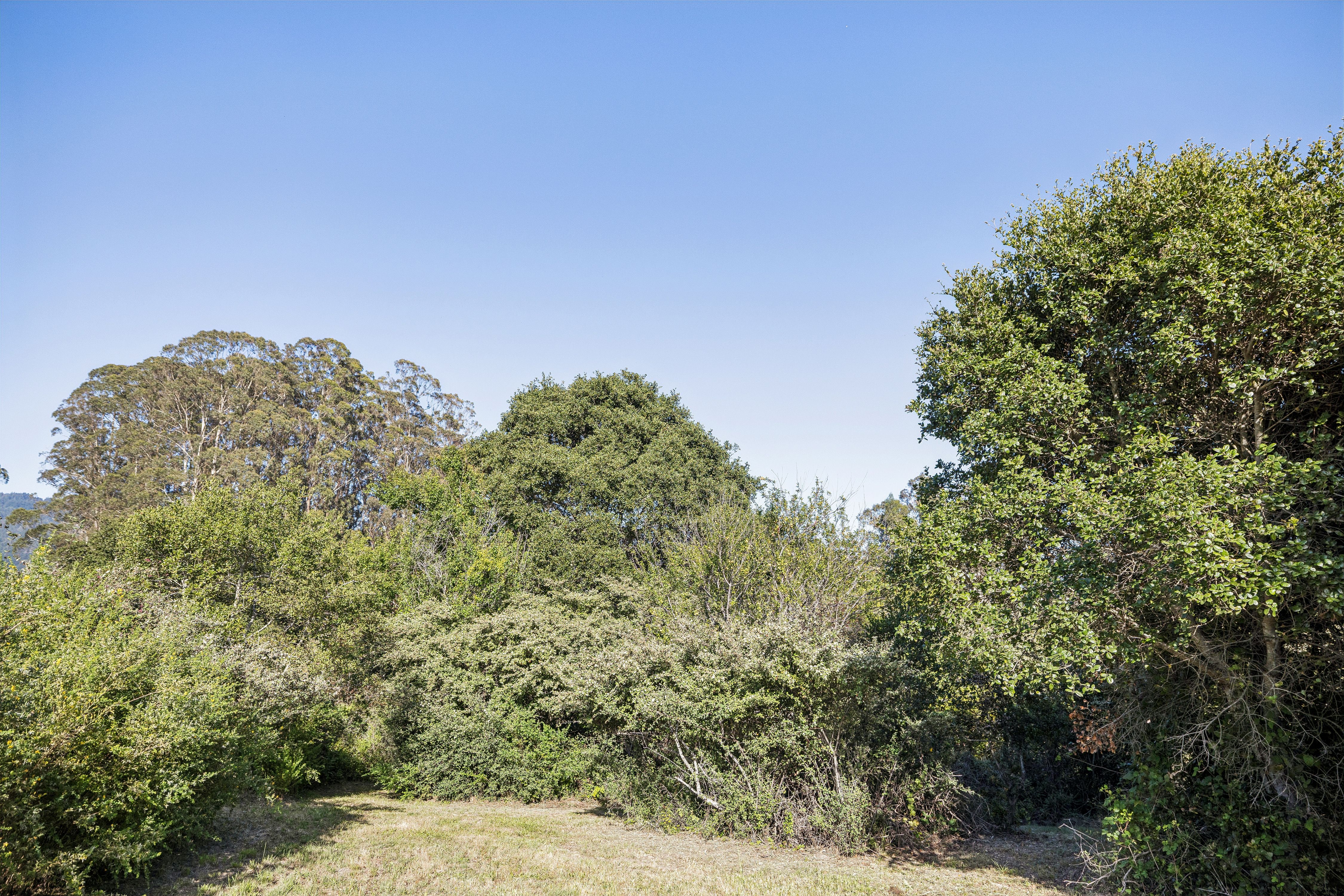  Bolinas Legend – Oldest Residence on Coastal Marin - 物件實景