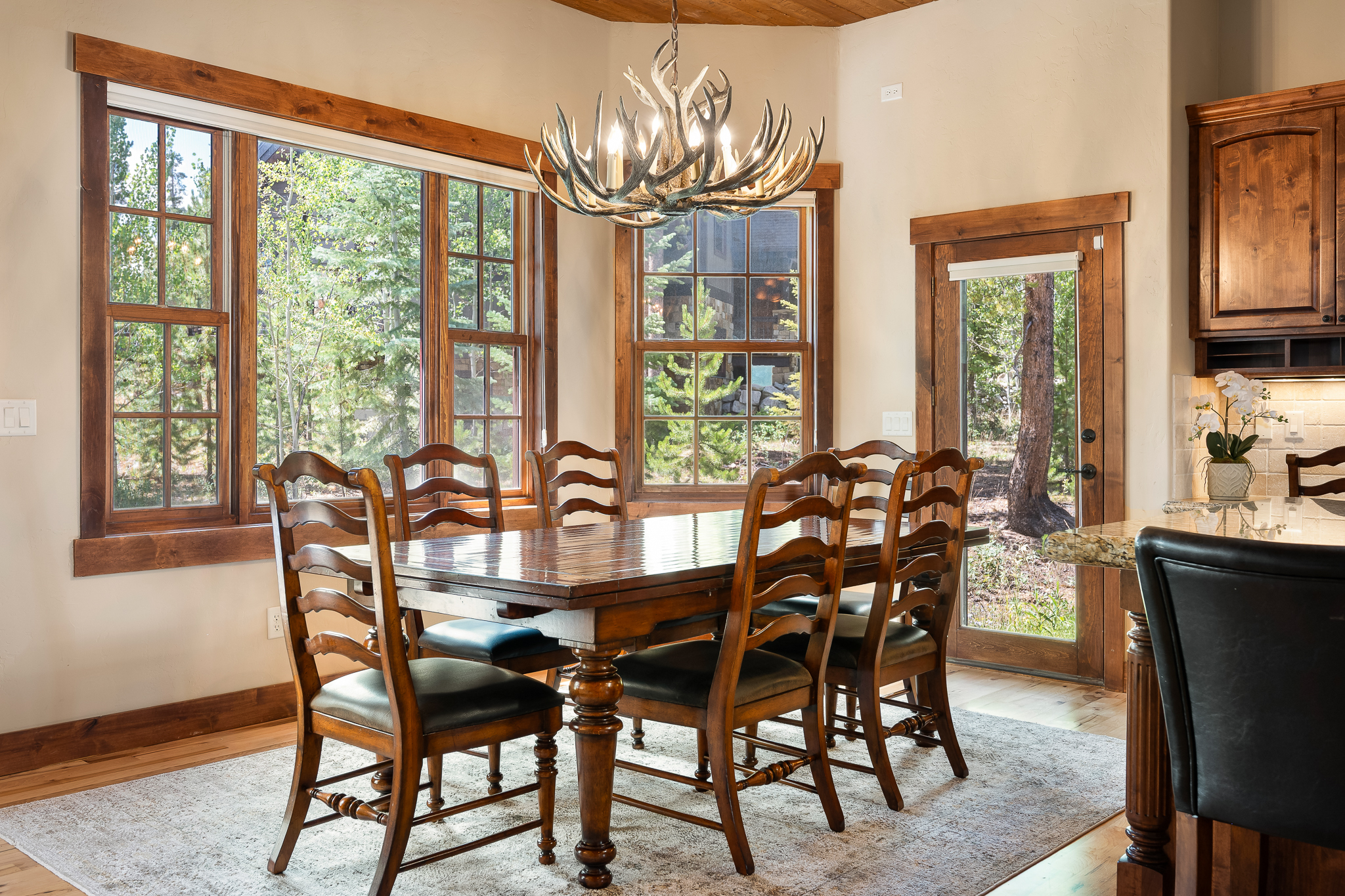  217 Leland Creek, Winter Park, CO, 80482 - 物件實景