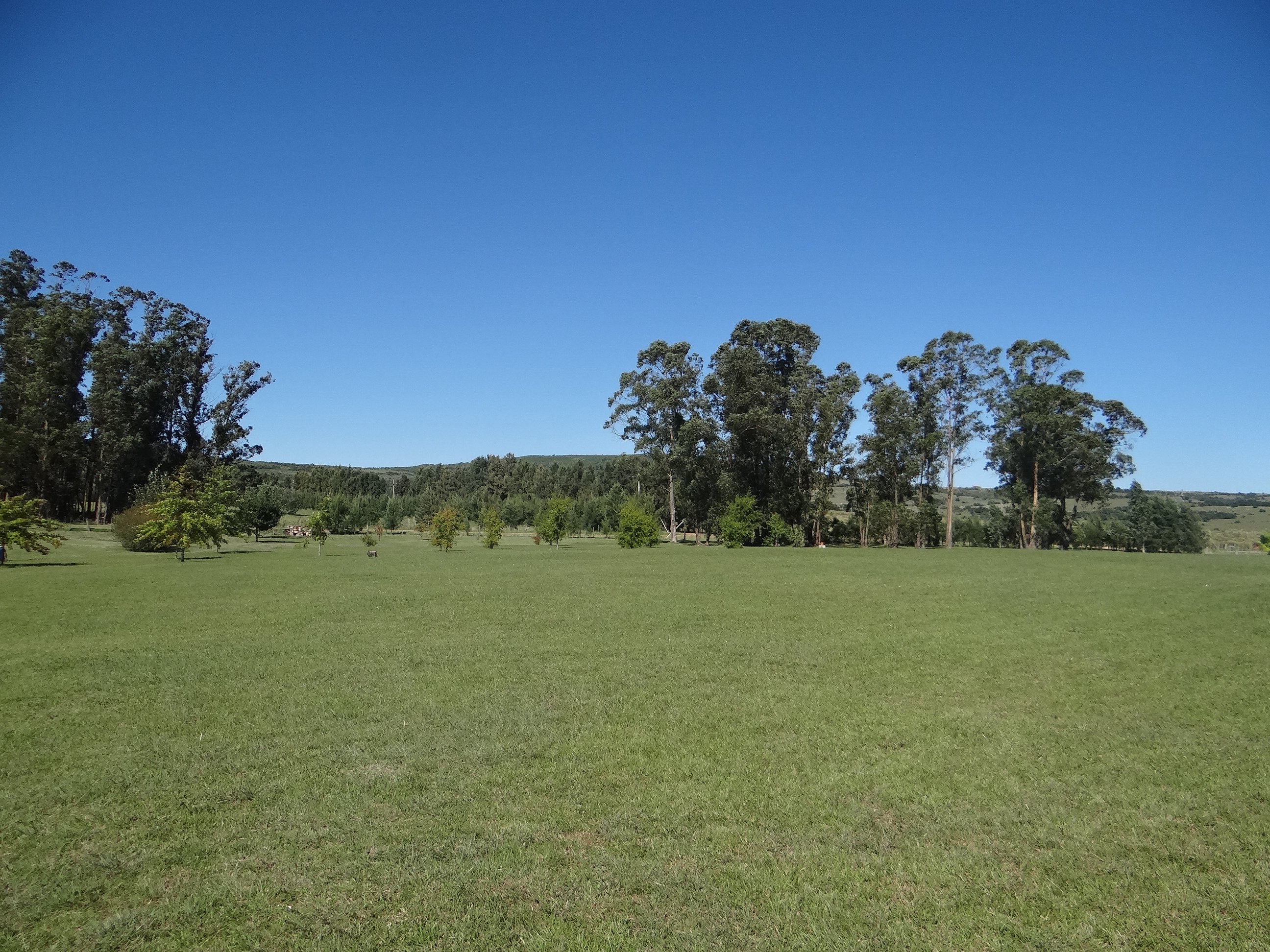  Farm in Pueblo Edén - 物件實景