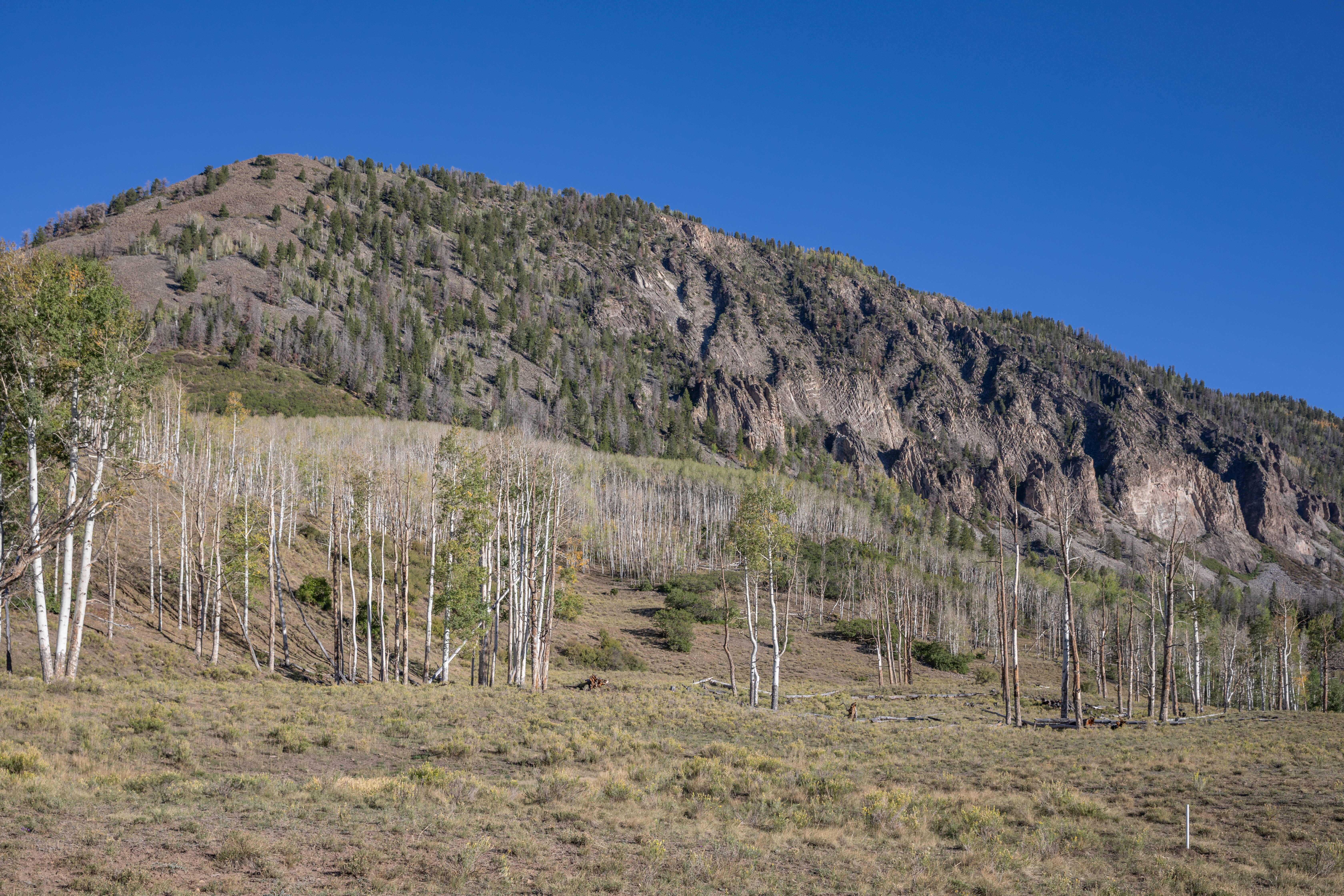  Private Rocky Mountain Opportunity in the Telluride Region - 物件實景