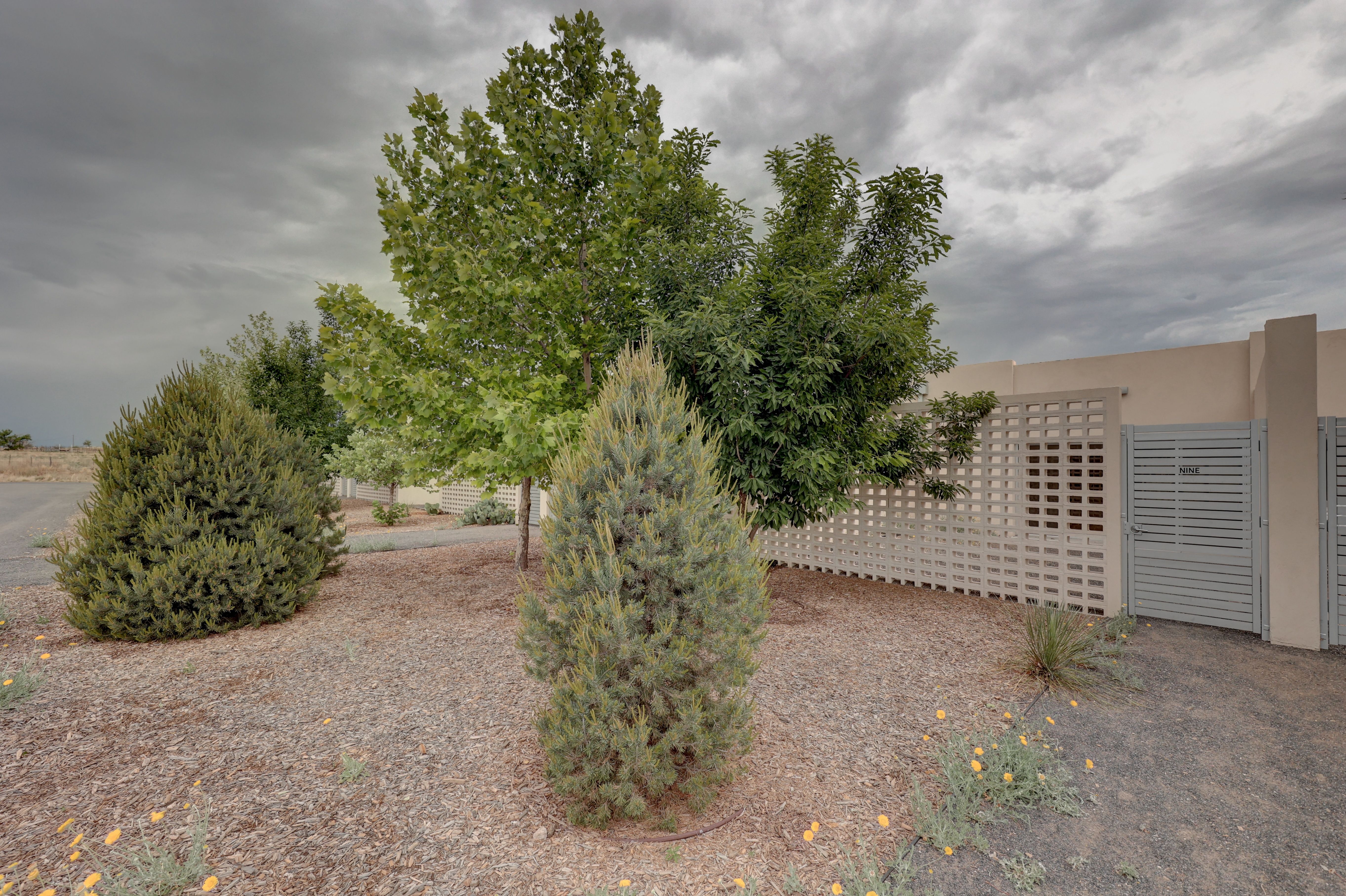  43435 RR 2810 #9, Marfa, TX 79843 - 物件實景